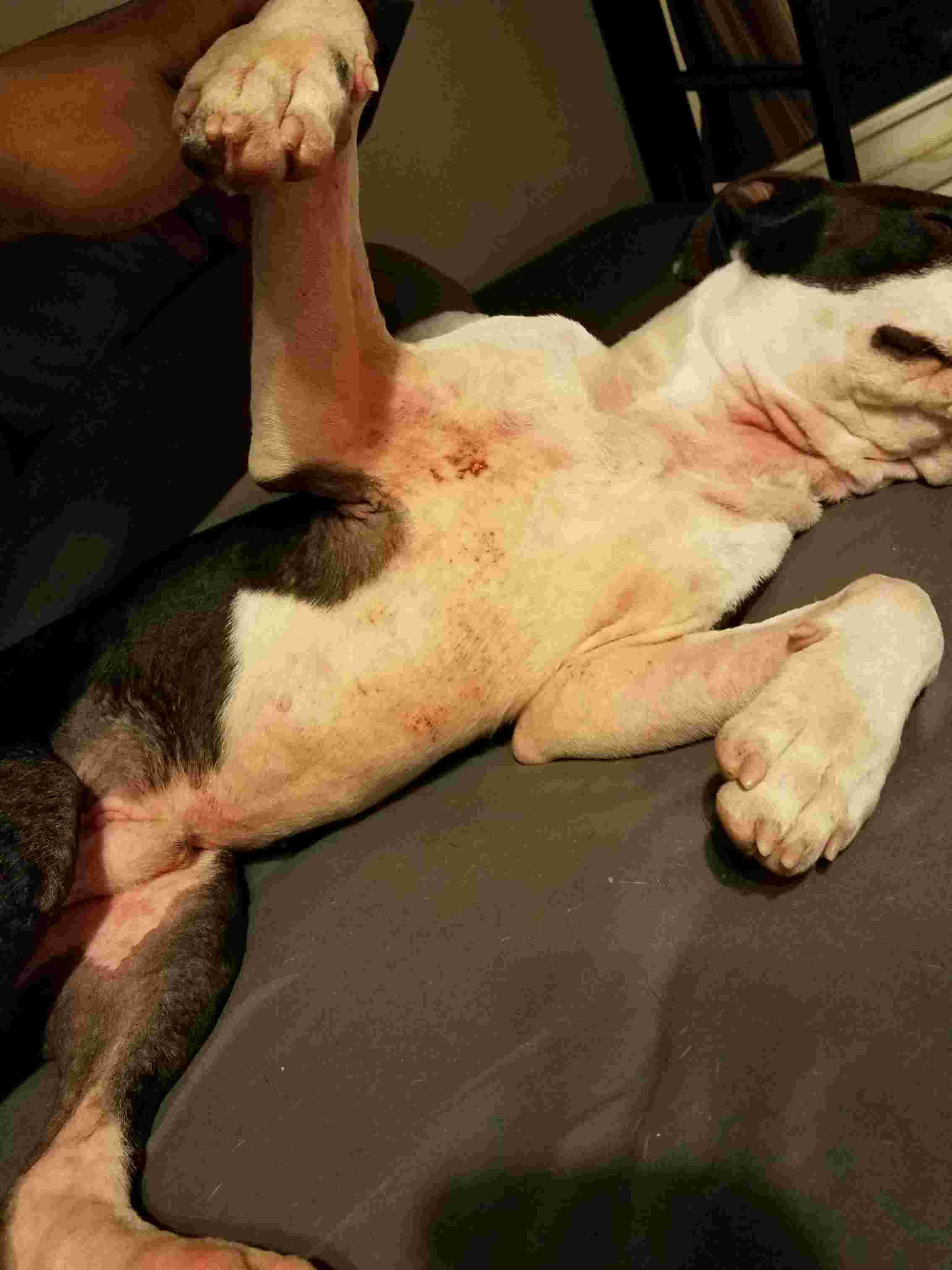 Question details sensitive content