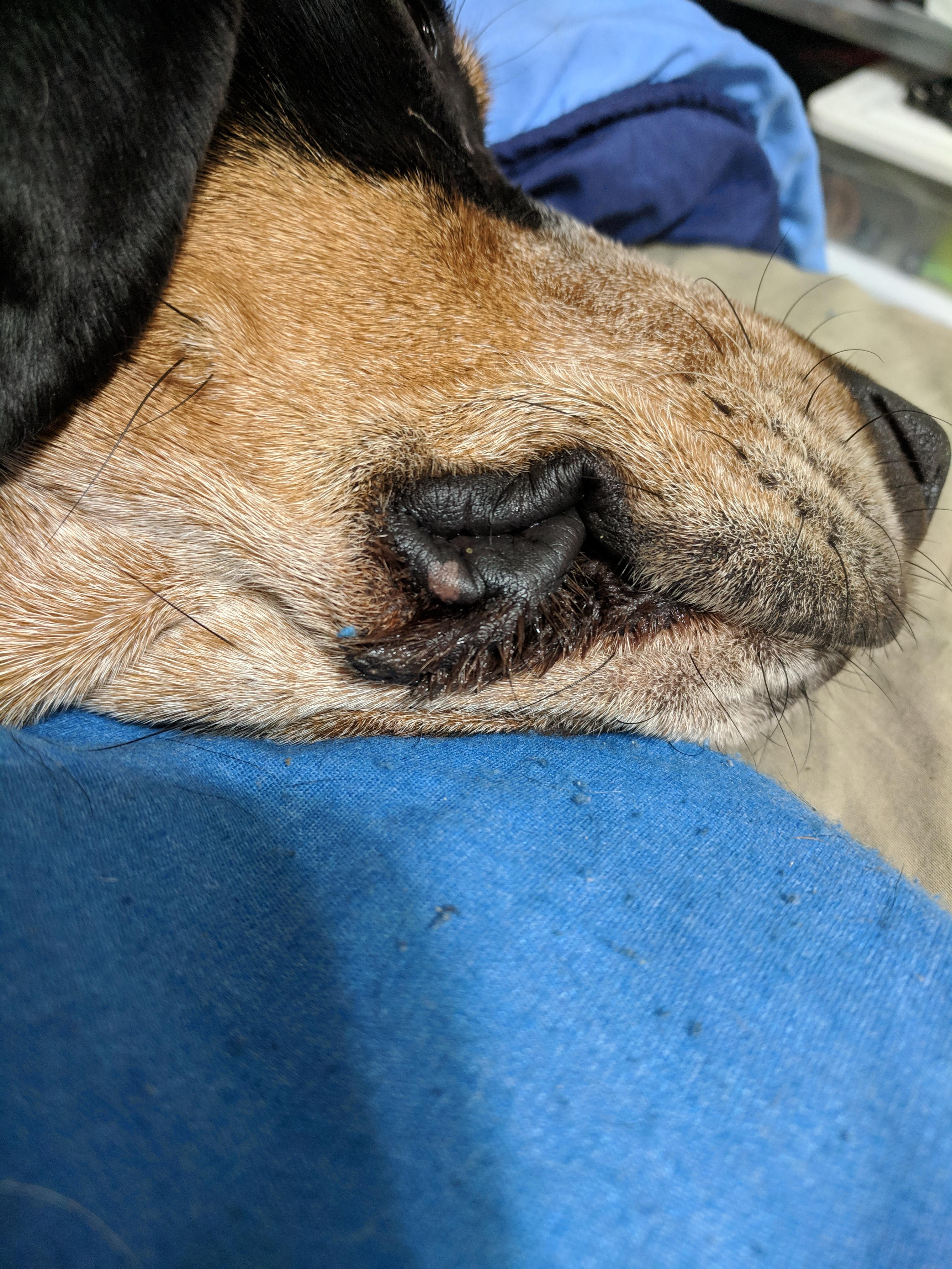 Question details sensitive content