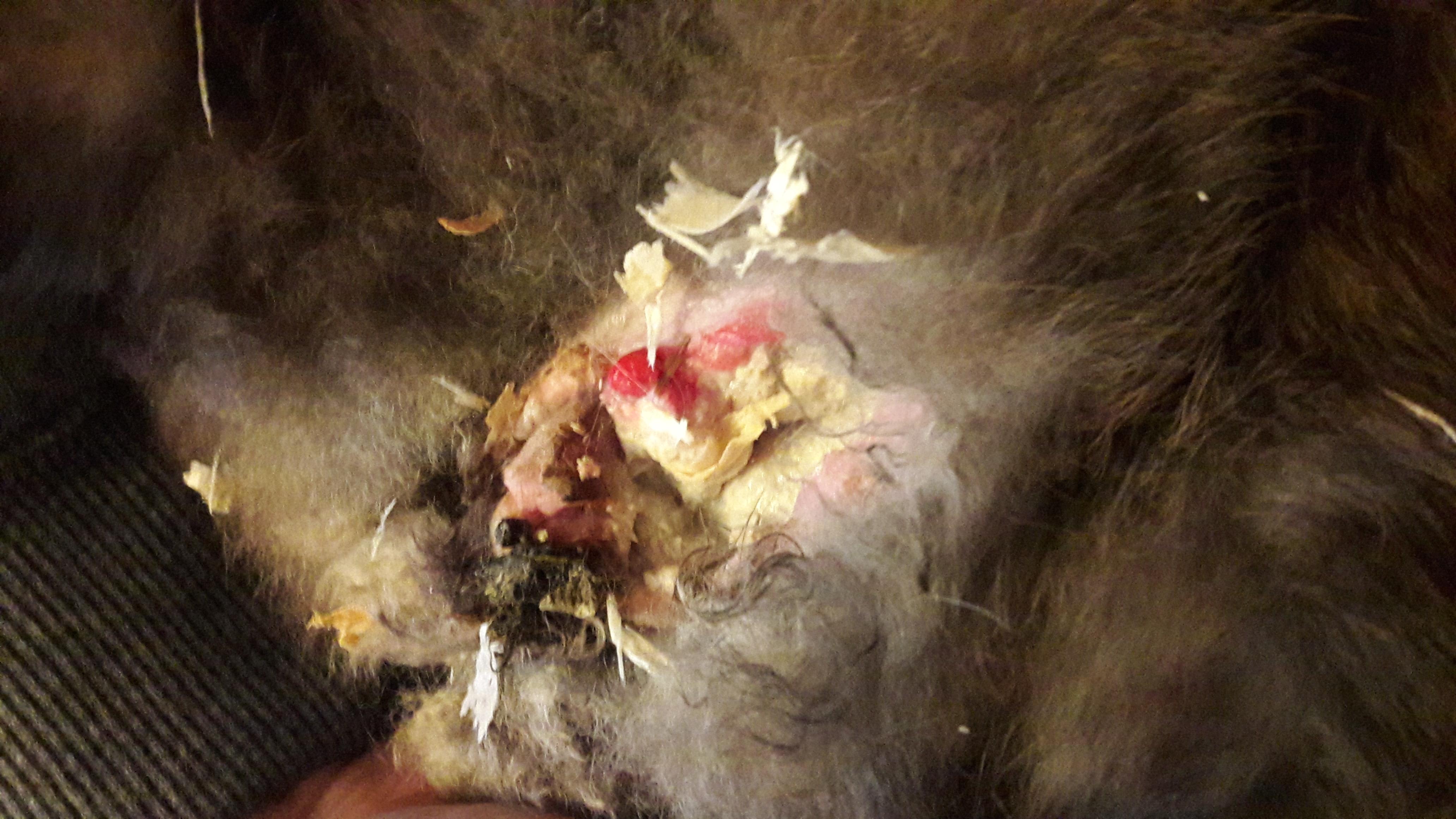 Question details sensitive content