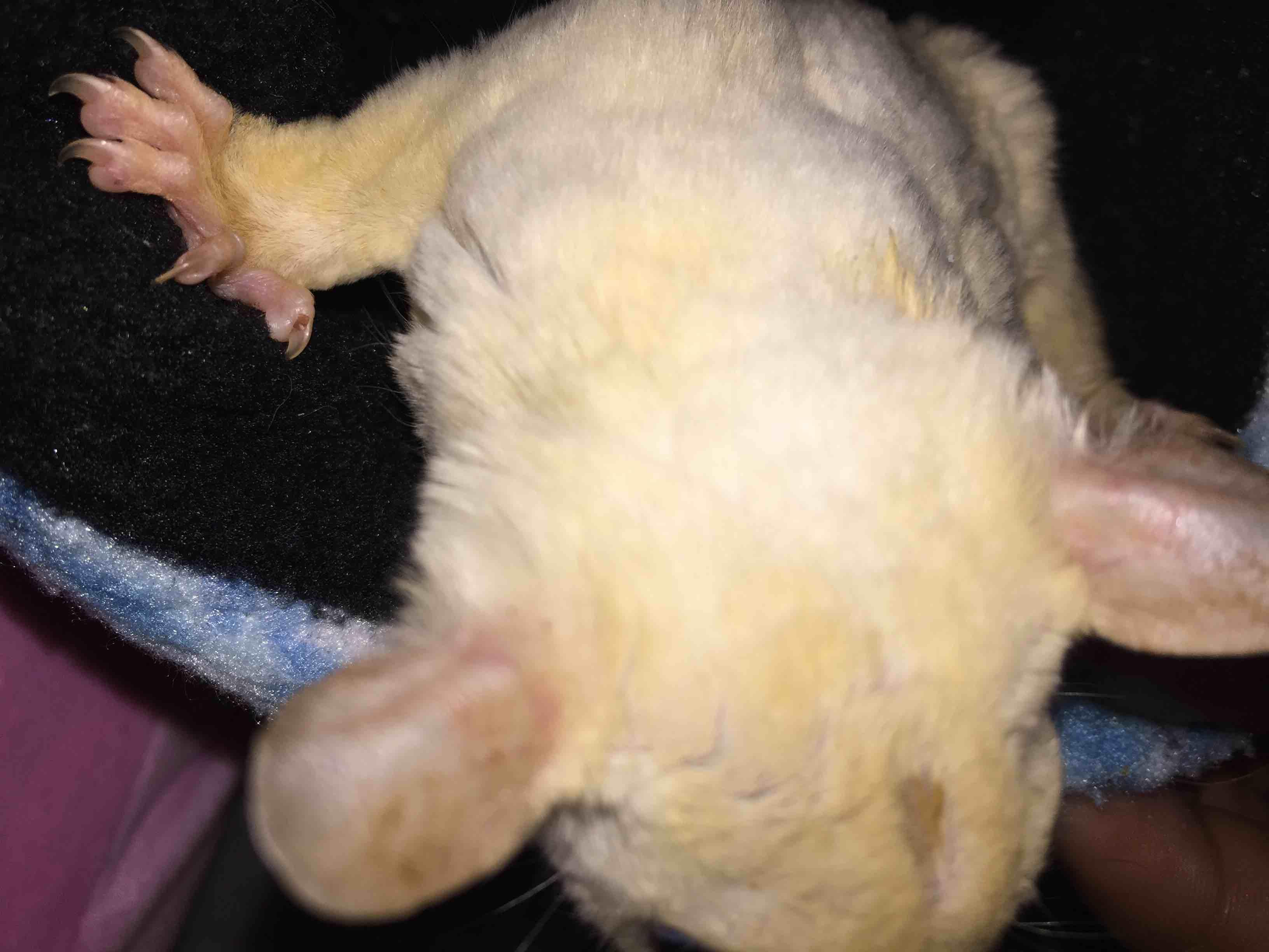 Question details sensitive content