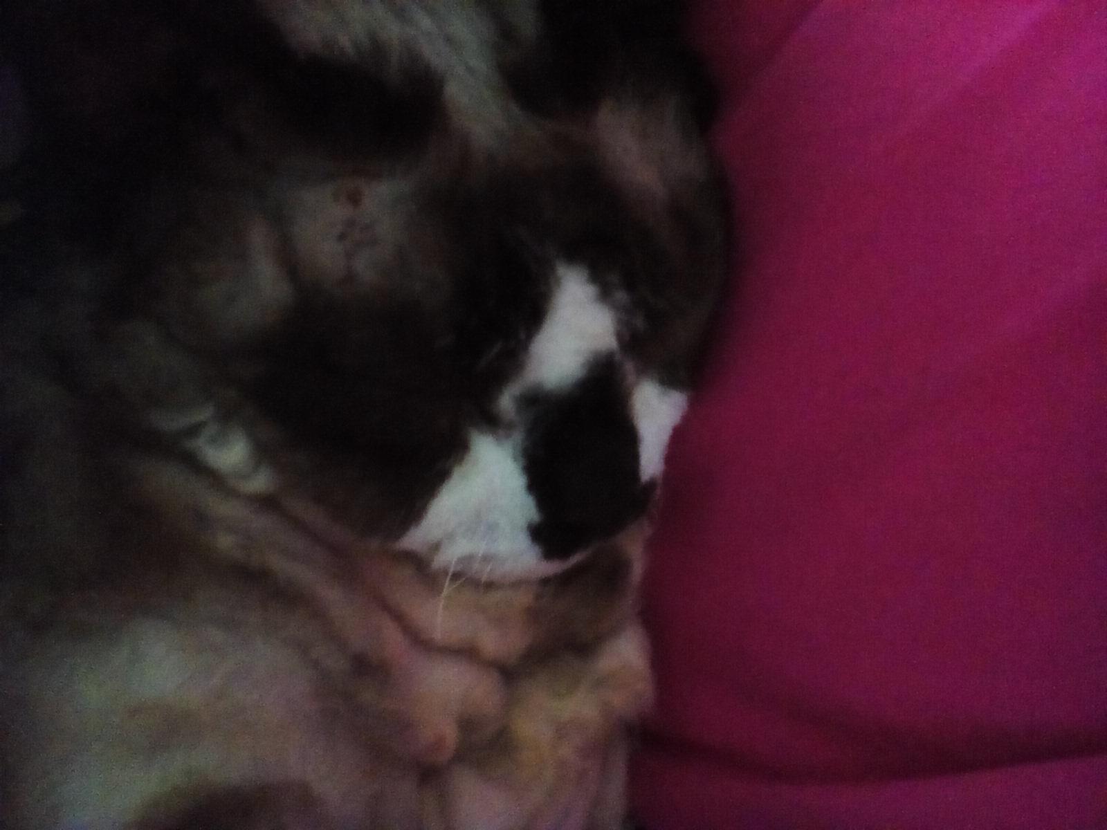 Question details sensitive content