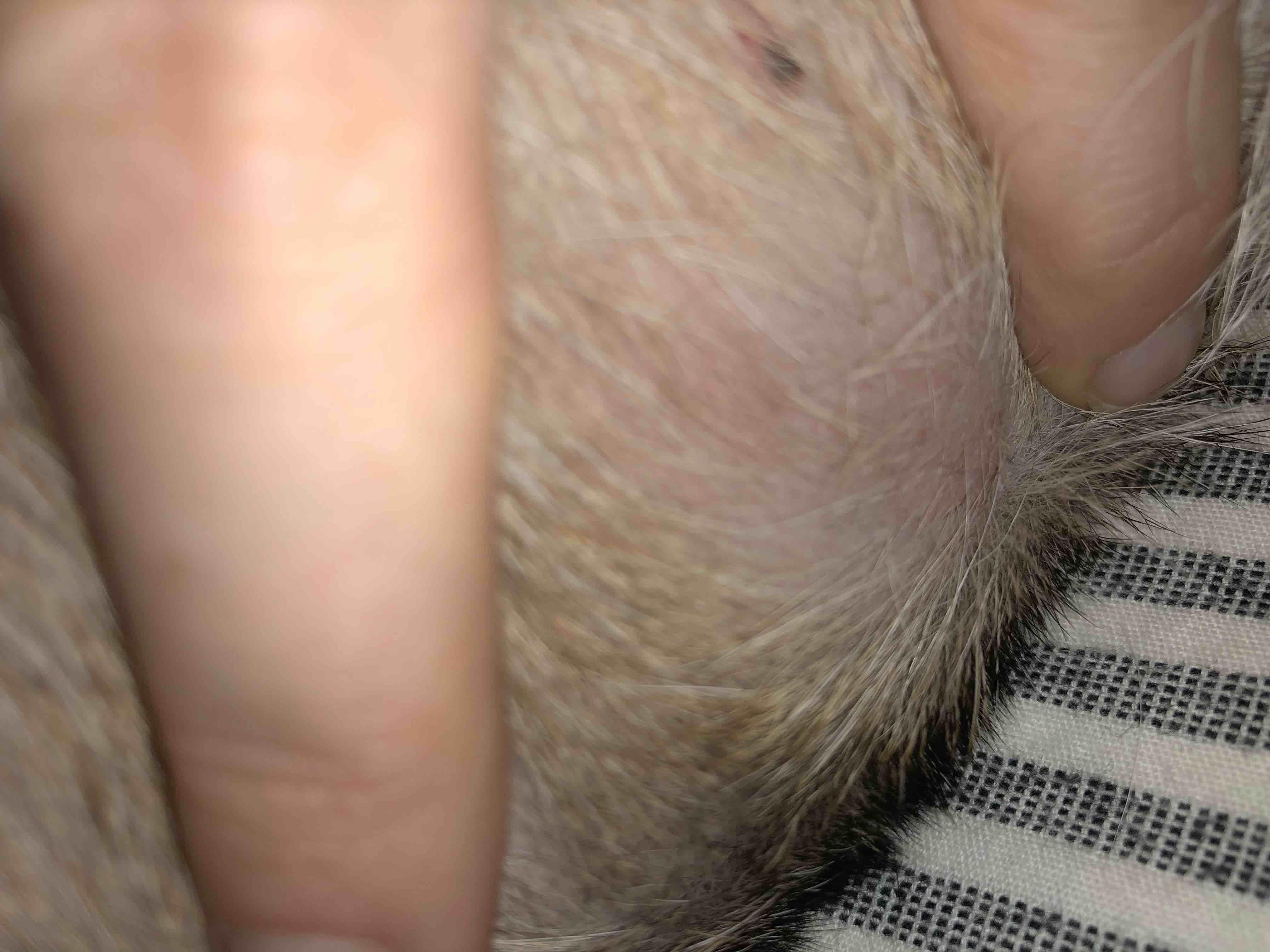 Question details sensitive content