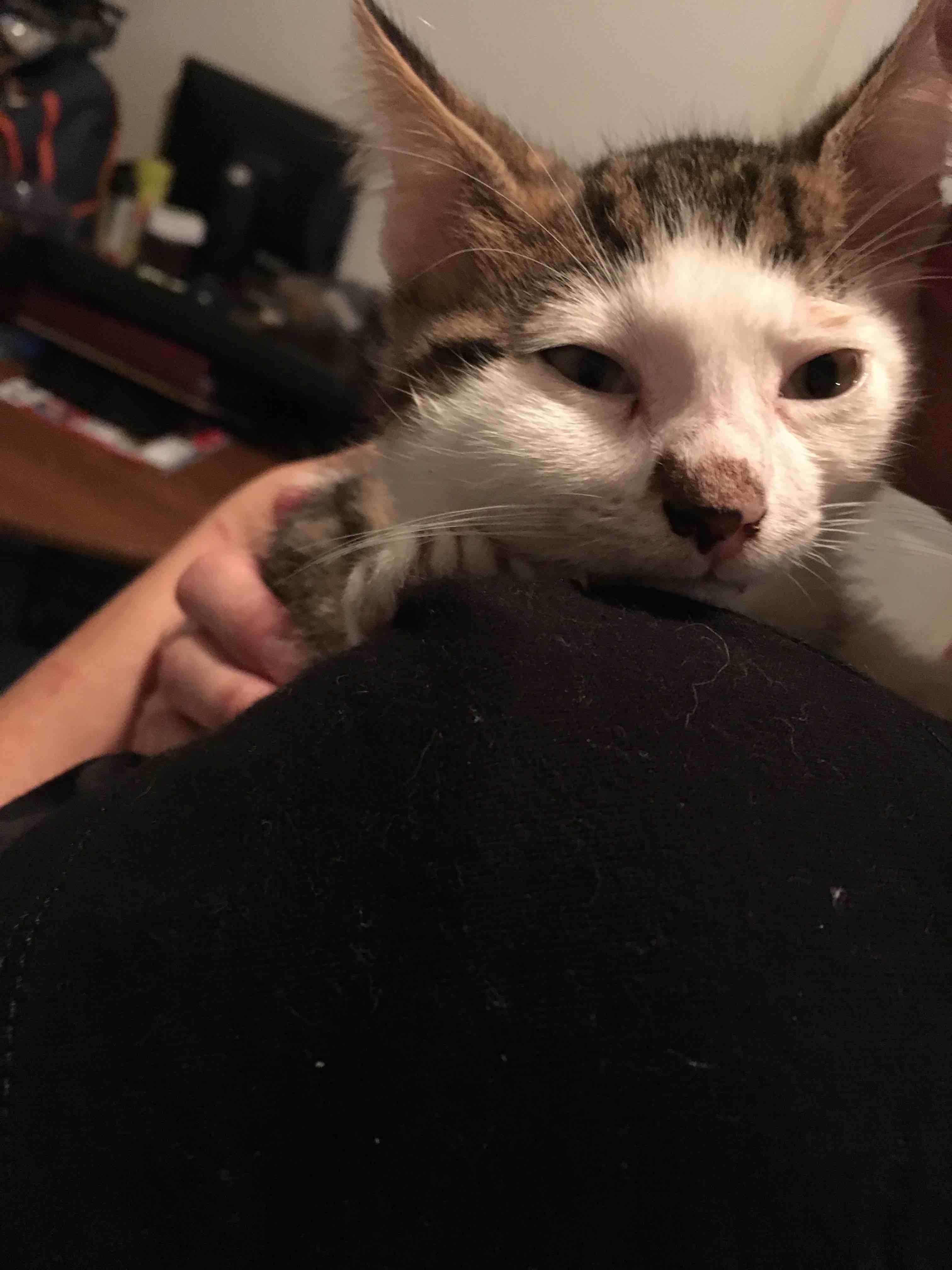 Question details sensitive content