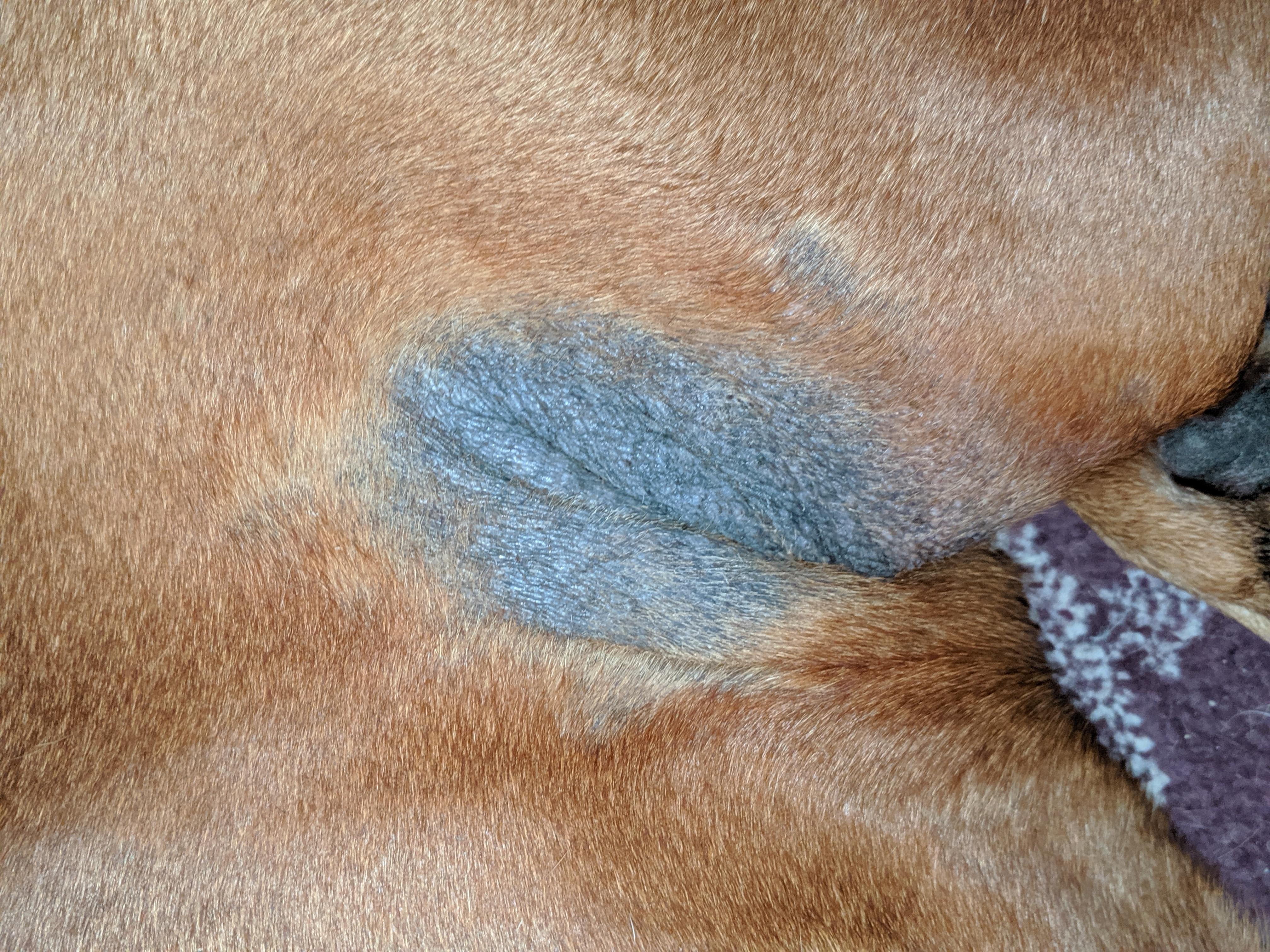 Question details sensitive content