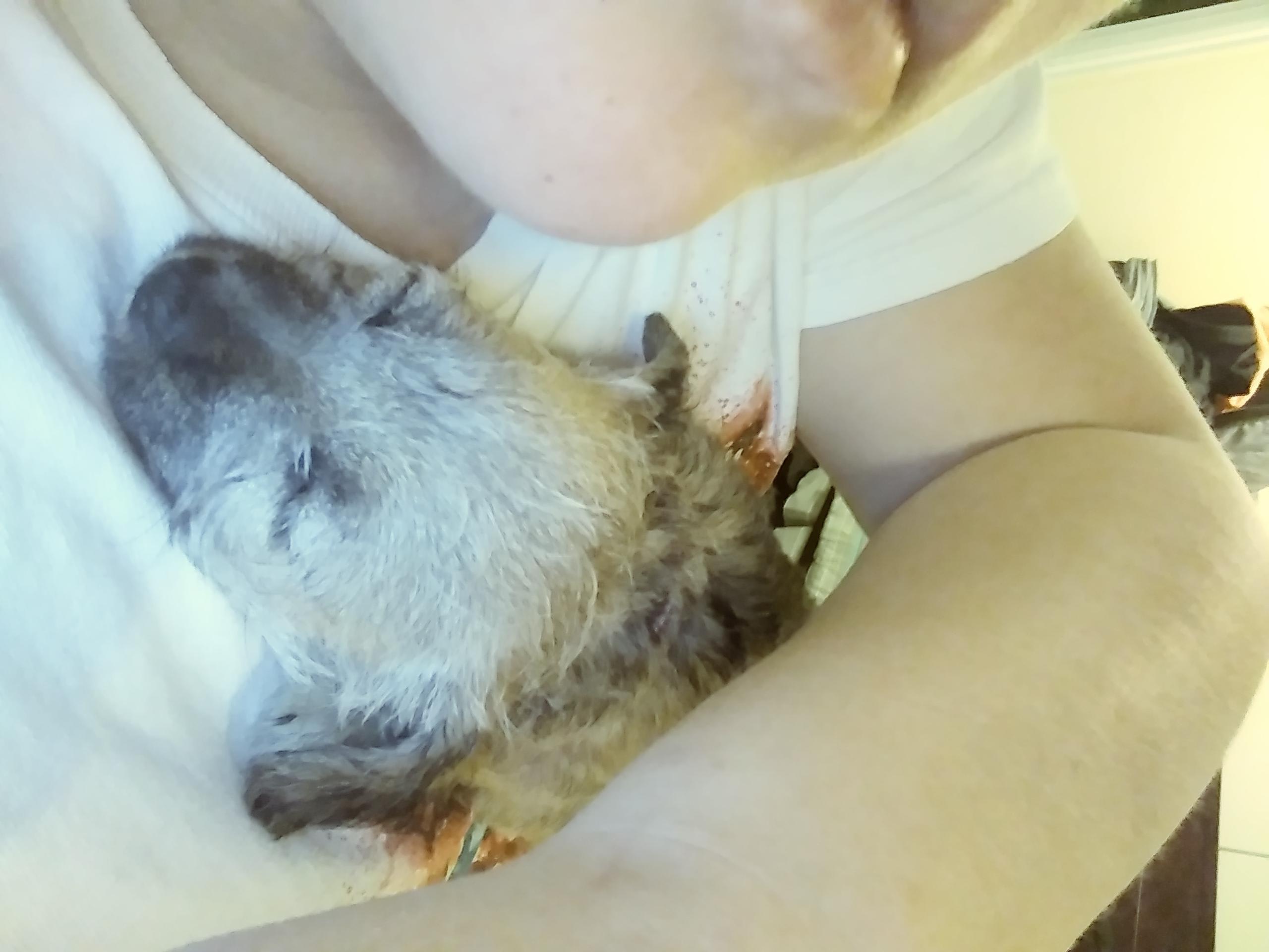 Question details sensitive content