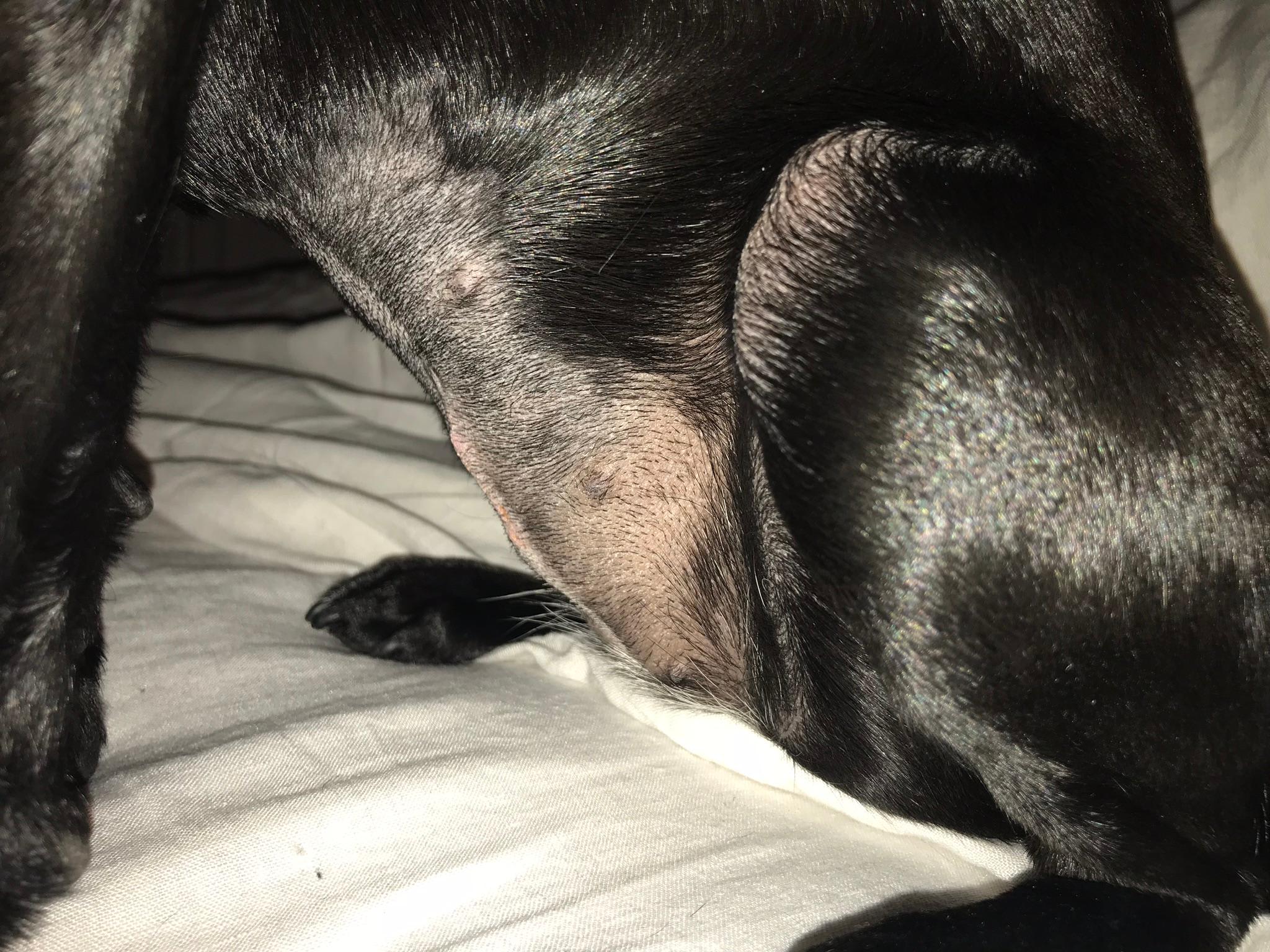 Question details sensitive content