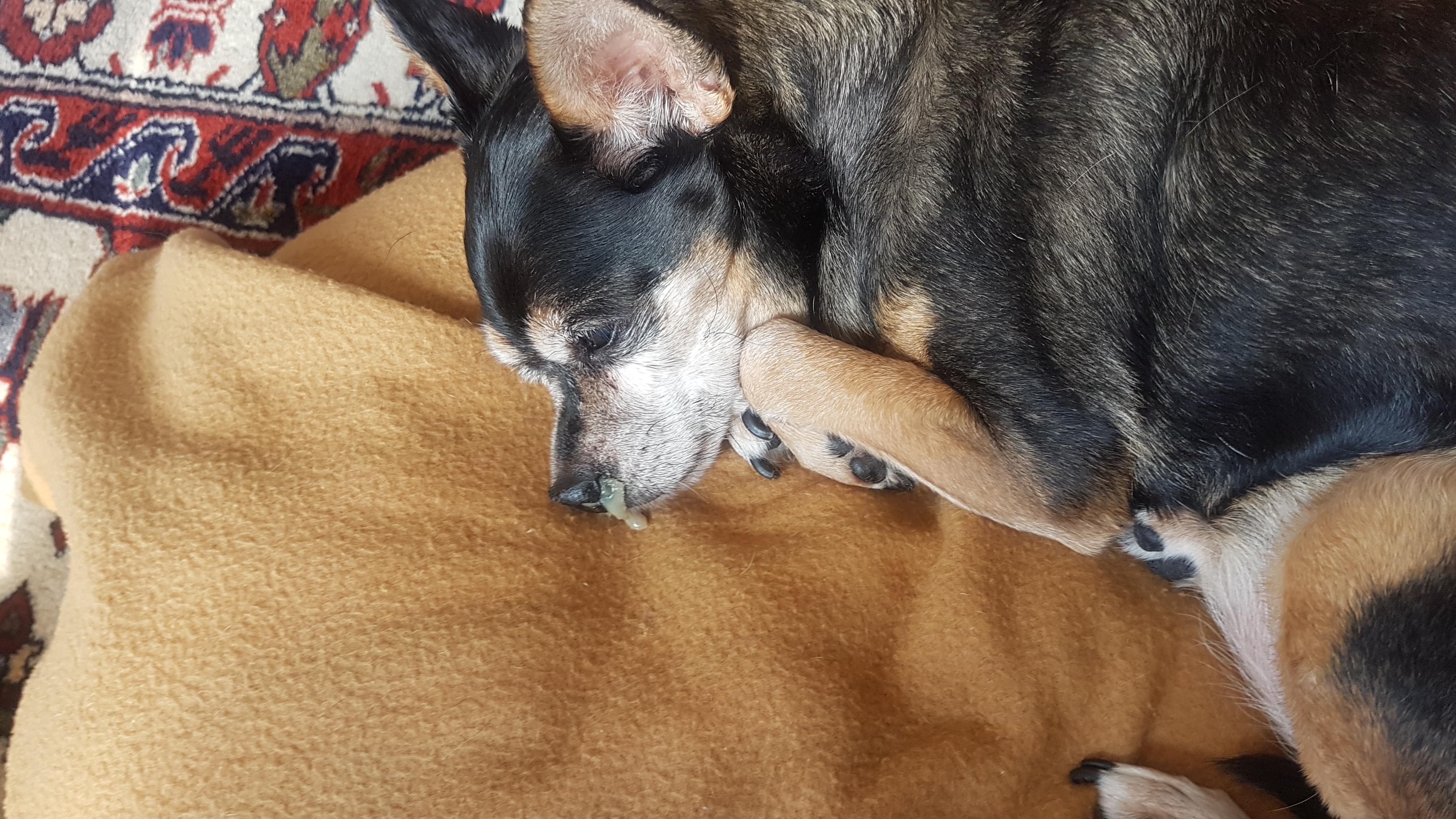 Question details sensitive content