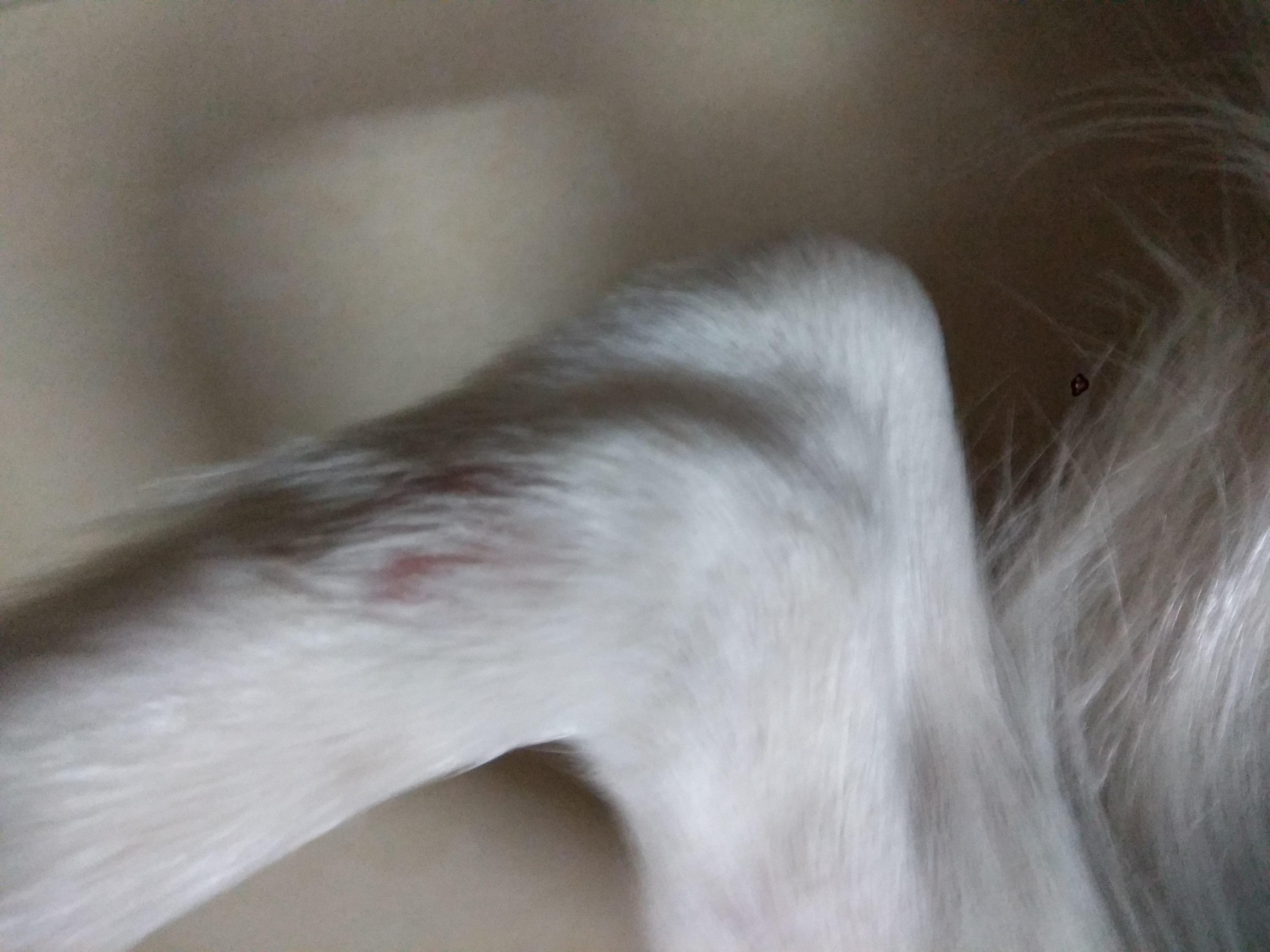 Question details sensitive content