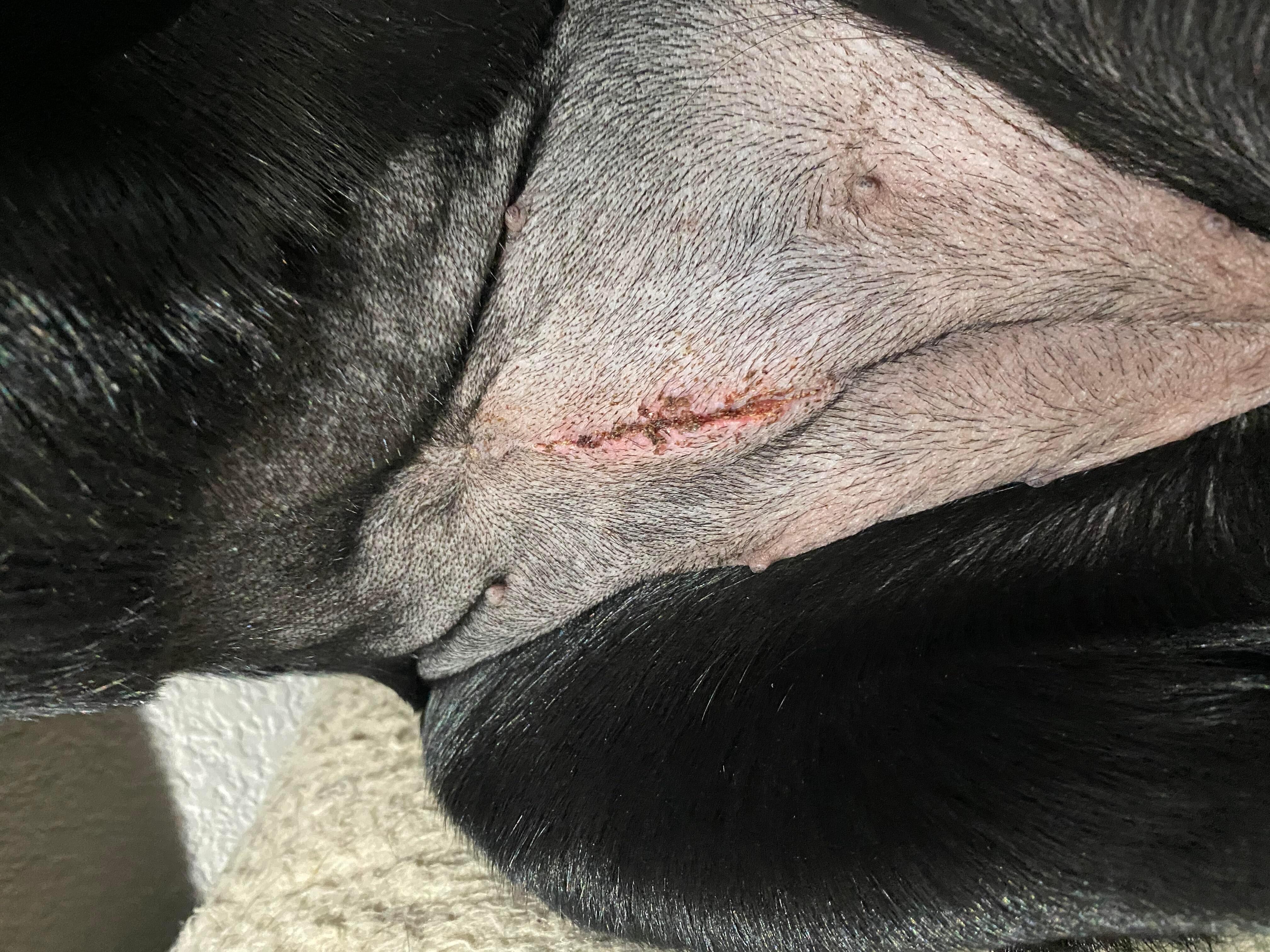 Question details sensitive content