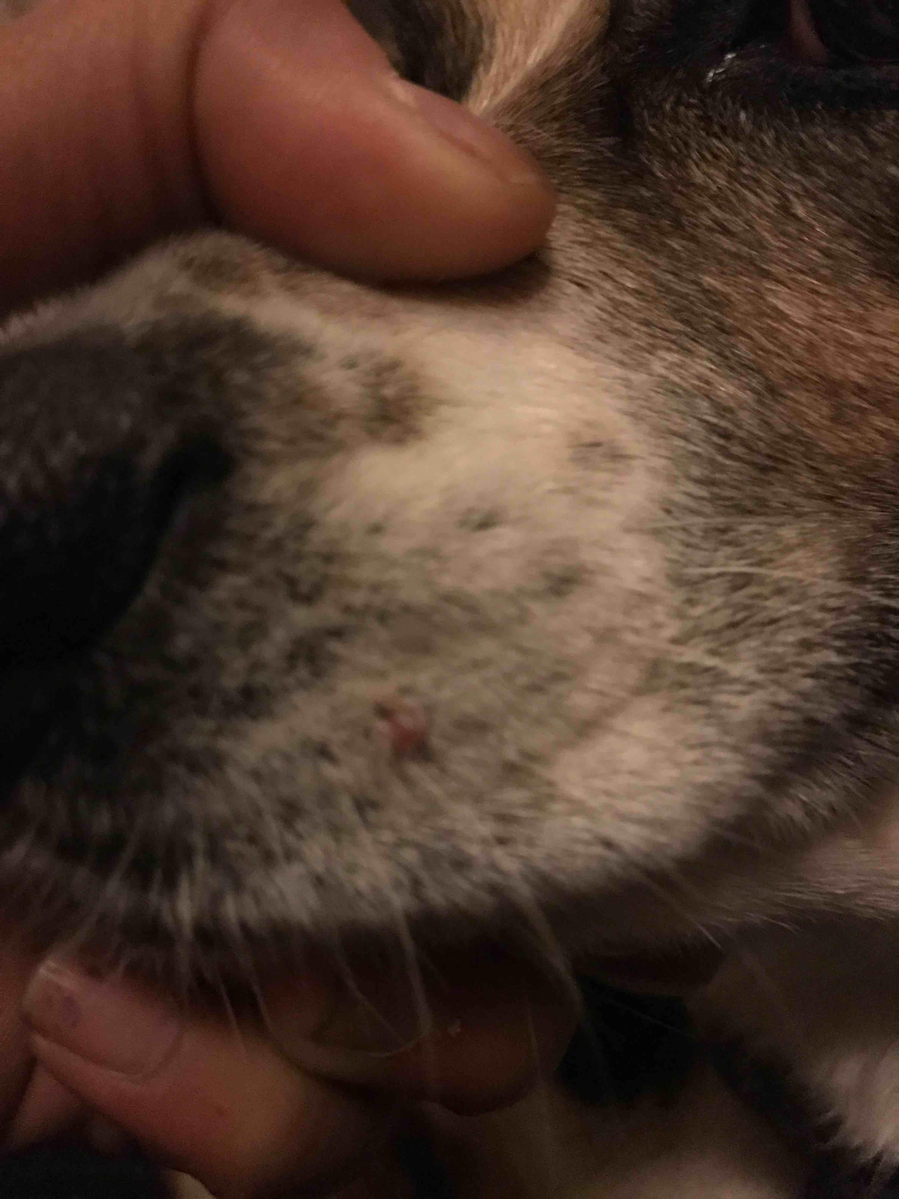 Question details sensitive content