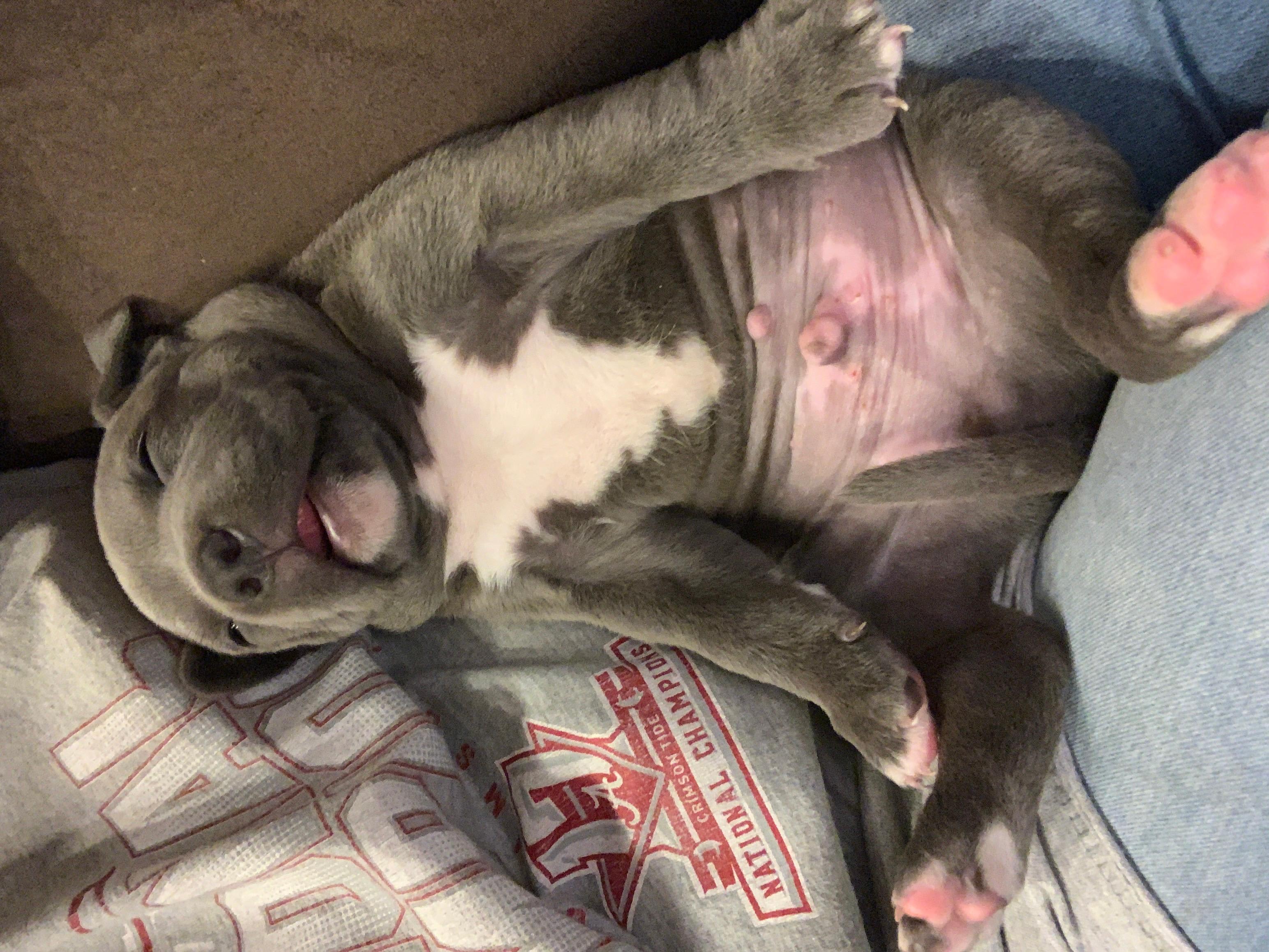 Question details sensitive content