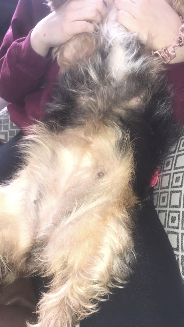 Question details sensitive content