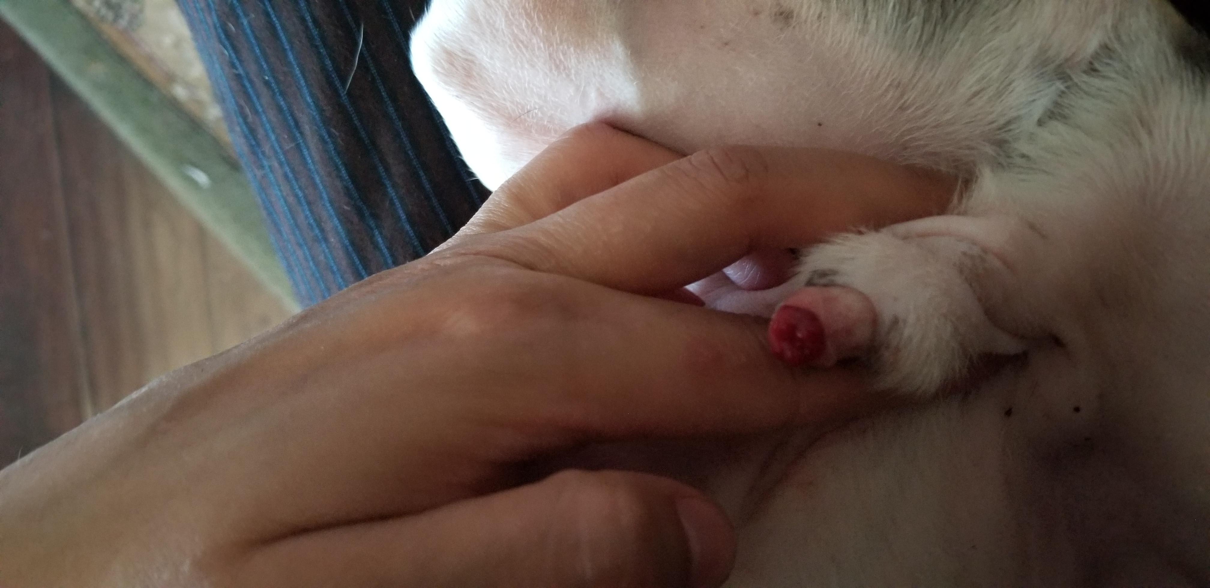 Question details sensitive content