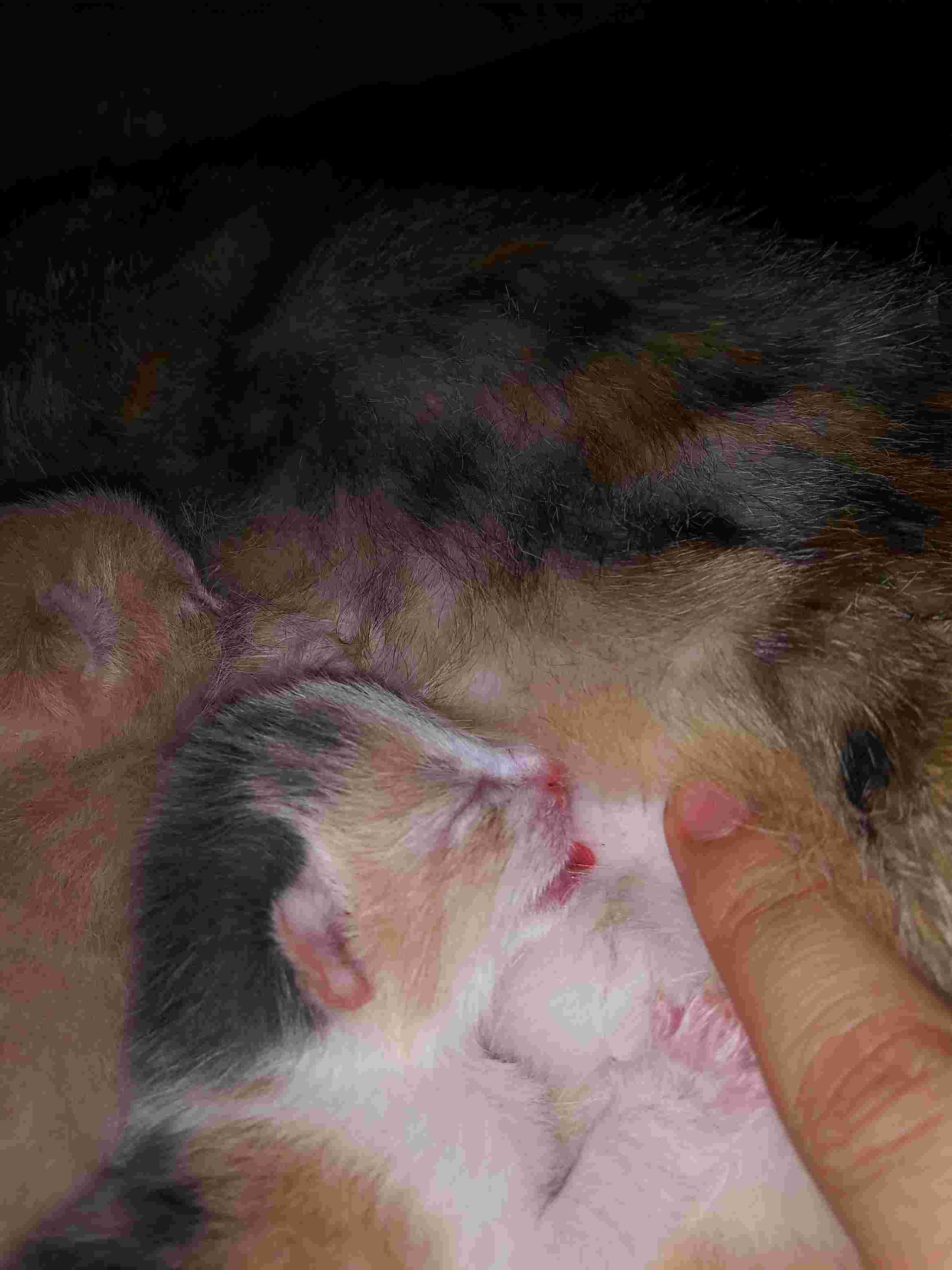 Question details sensitive content