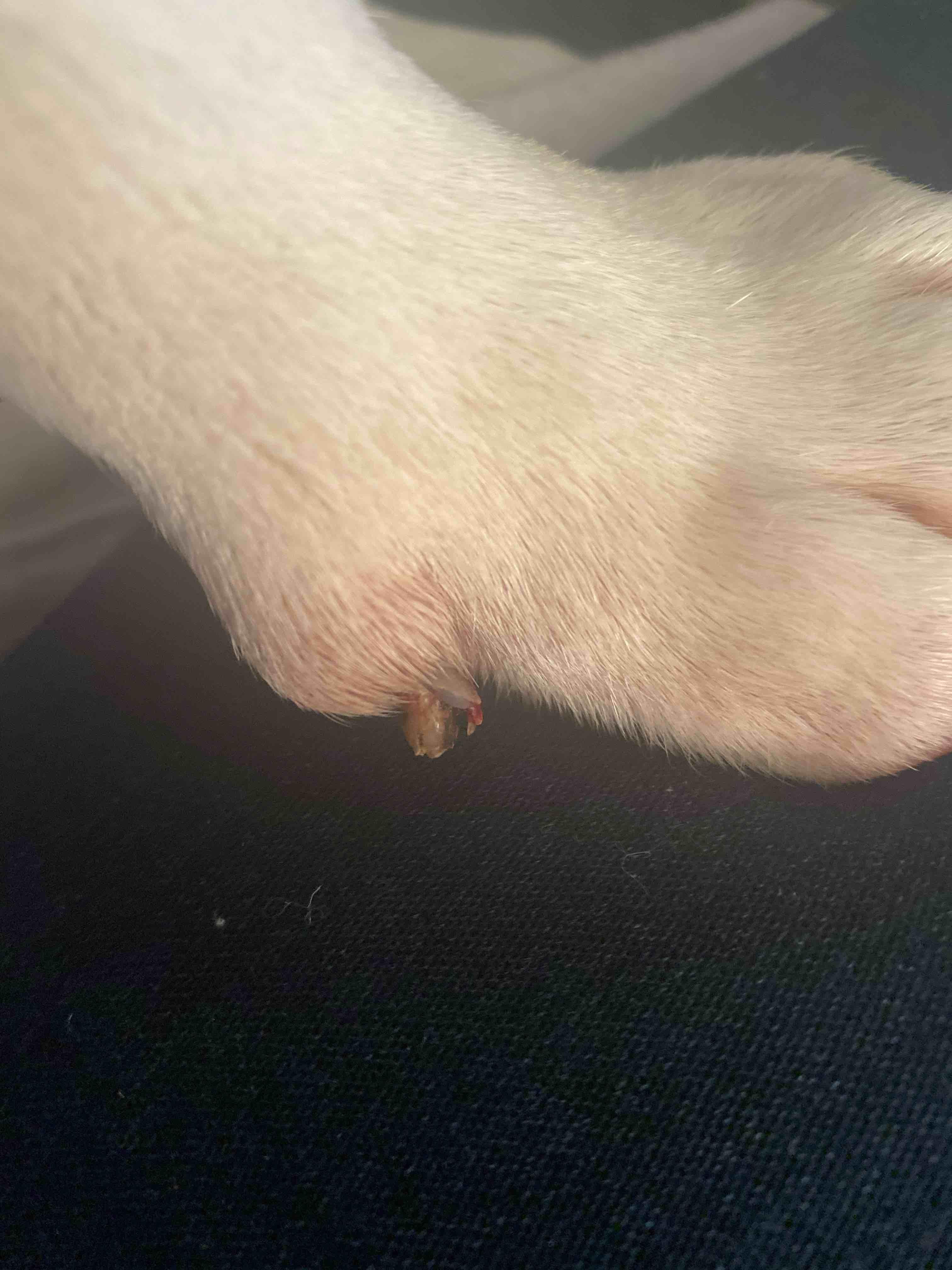 Question details sensitive content