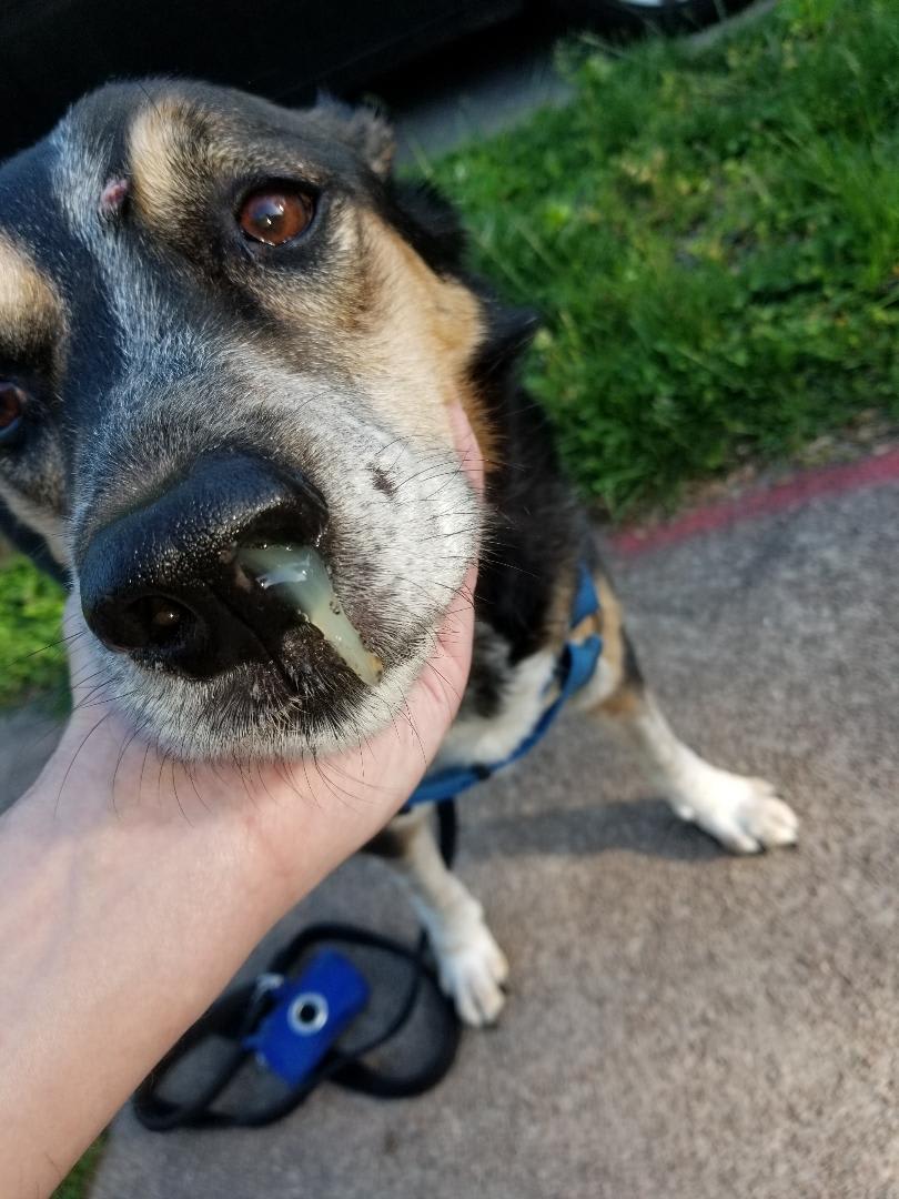 Question details sensitive content