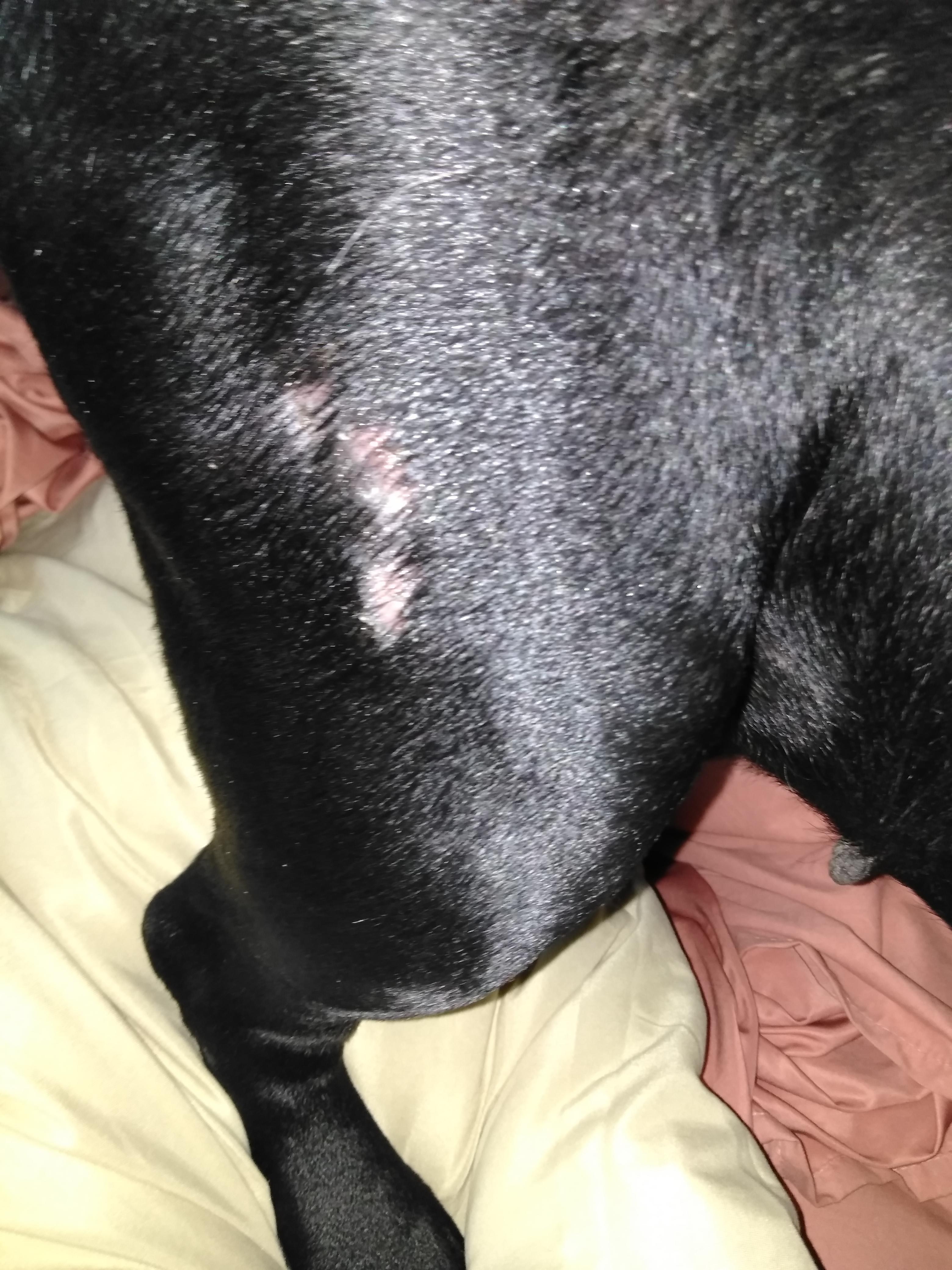 Question details sensitive content