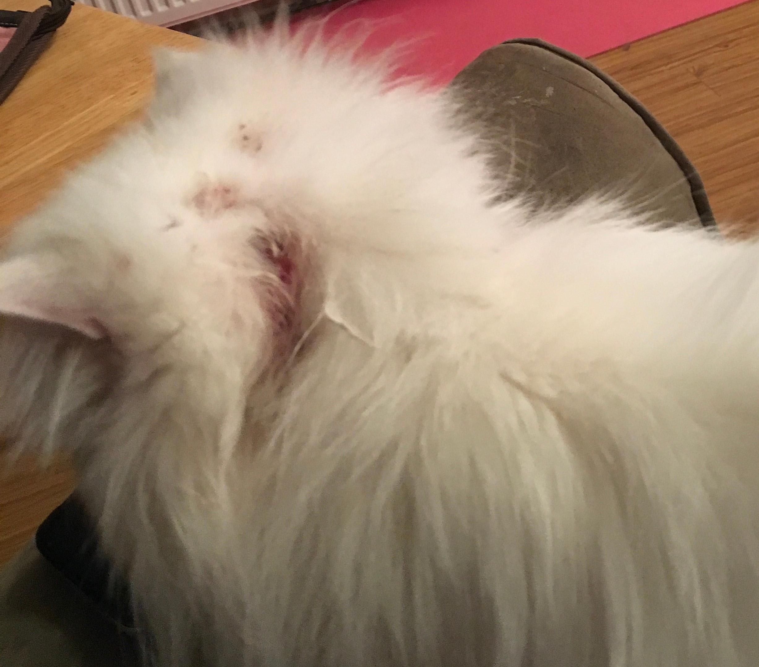 Question details sensitive content