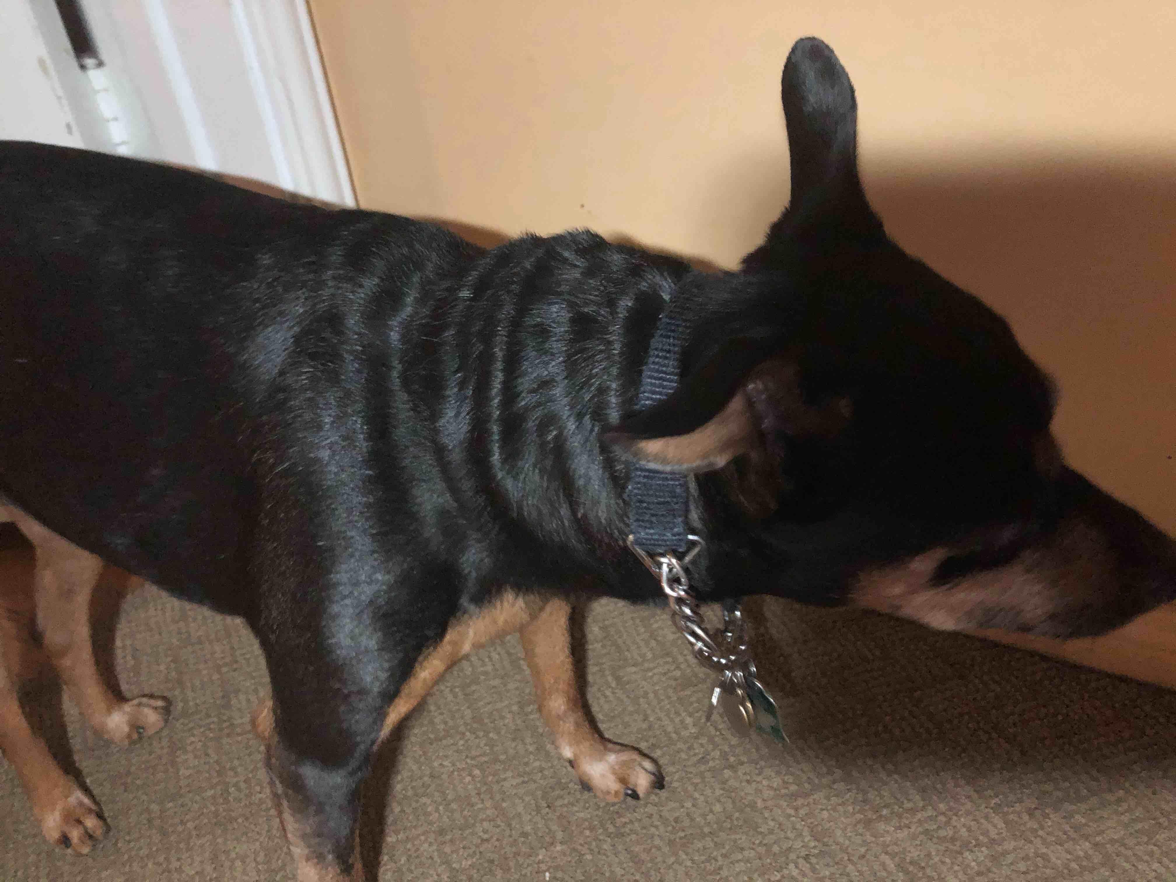 Question details sensitive content