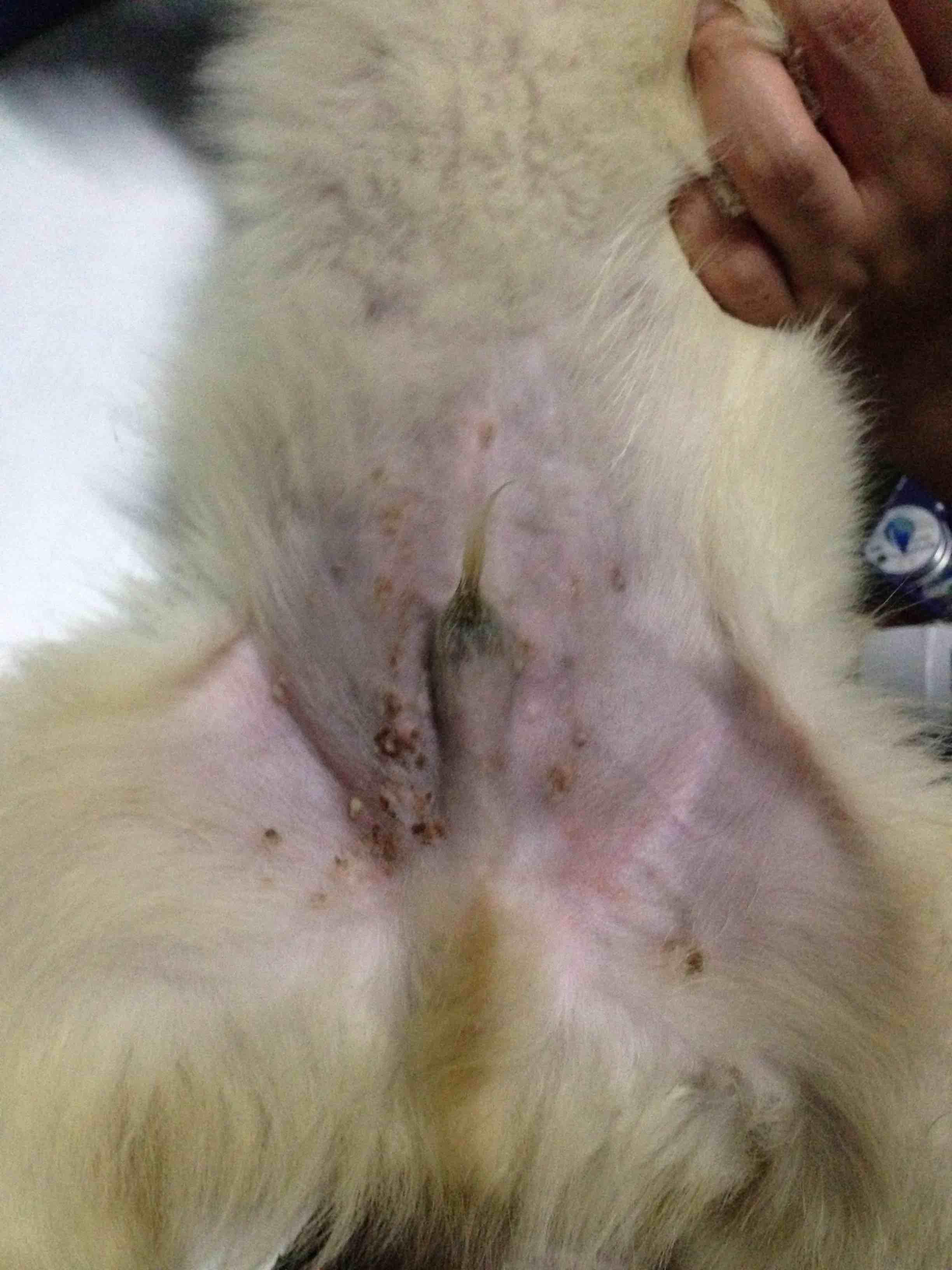 Question details sensitive content