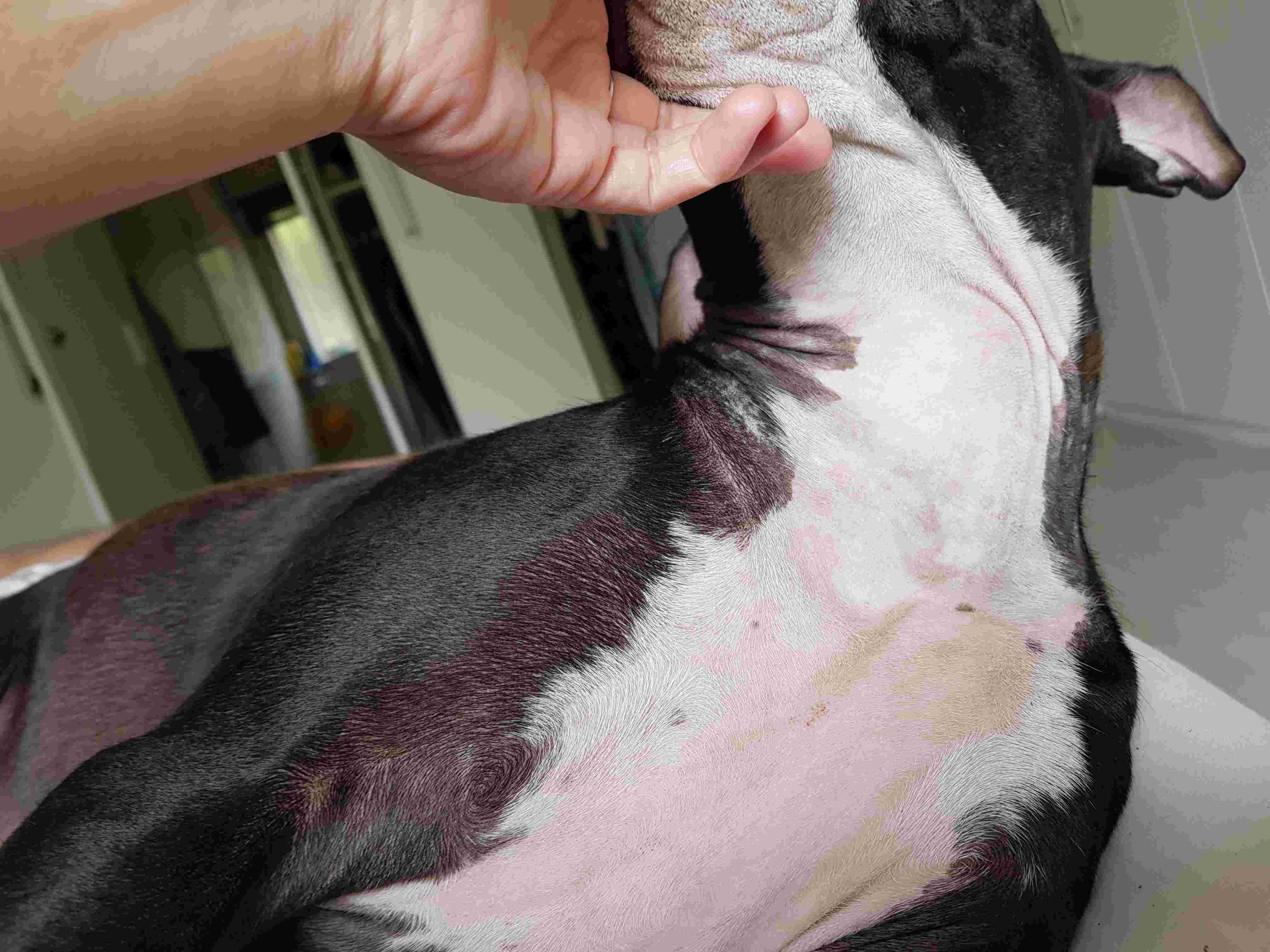 Question details sensitive content