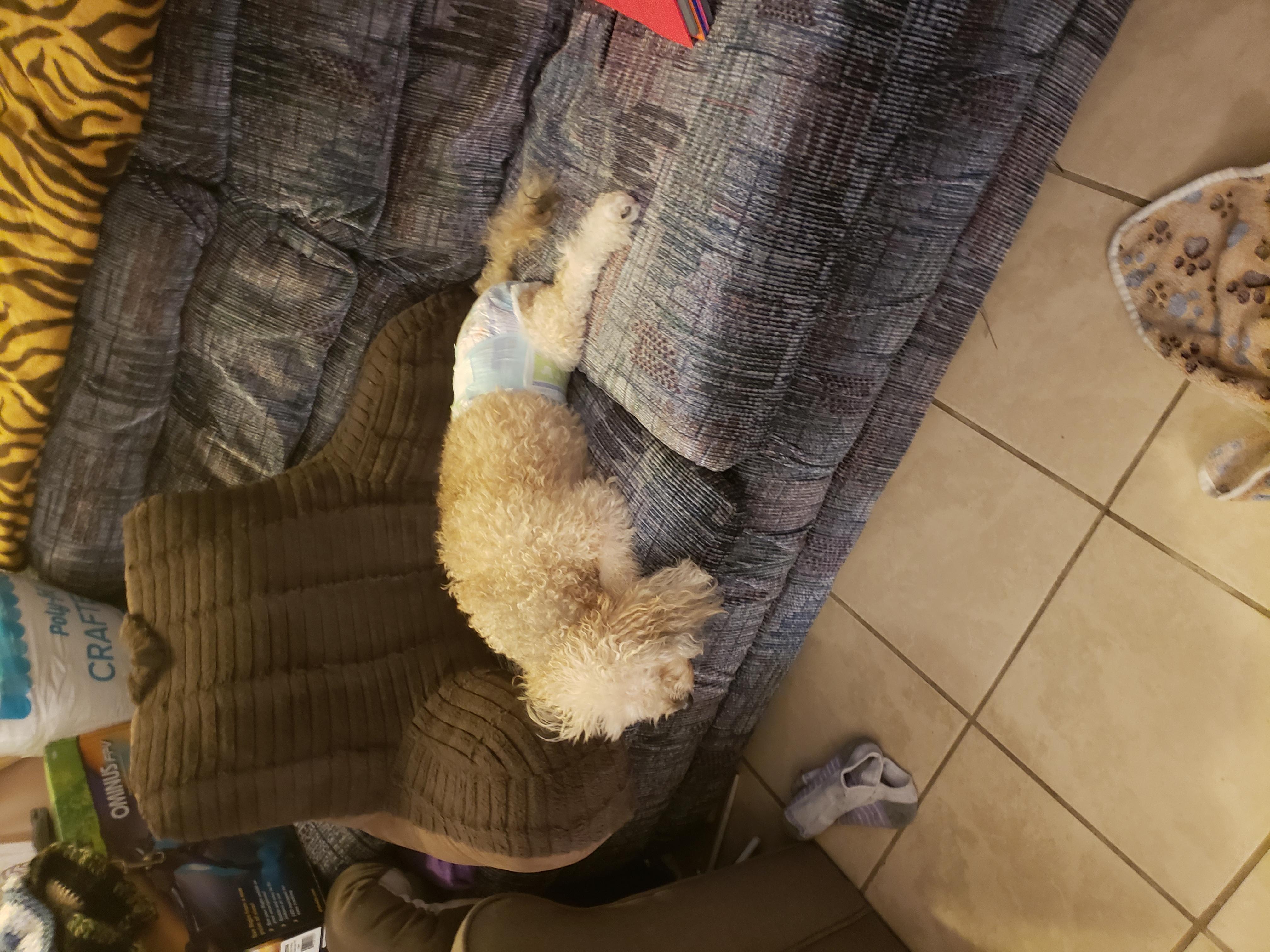 Question details sensitive content