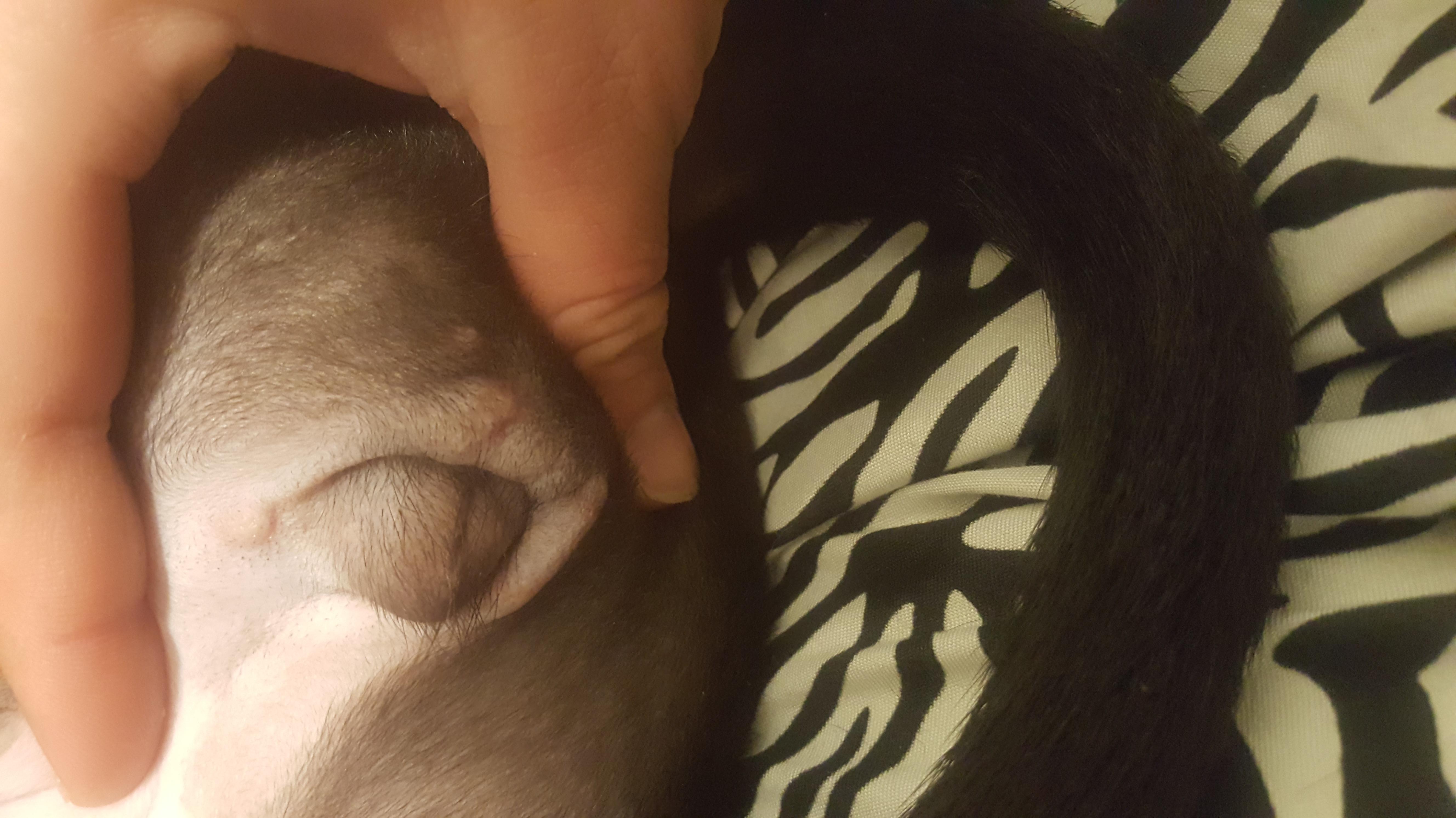 Question details sensitive content