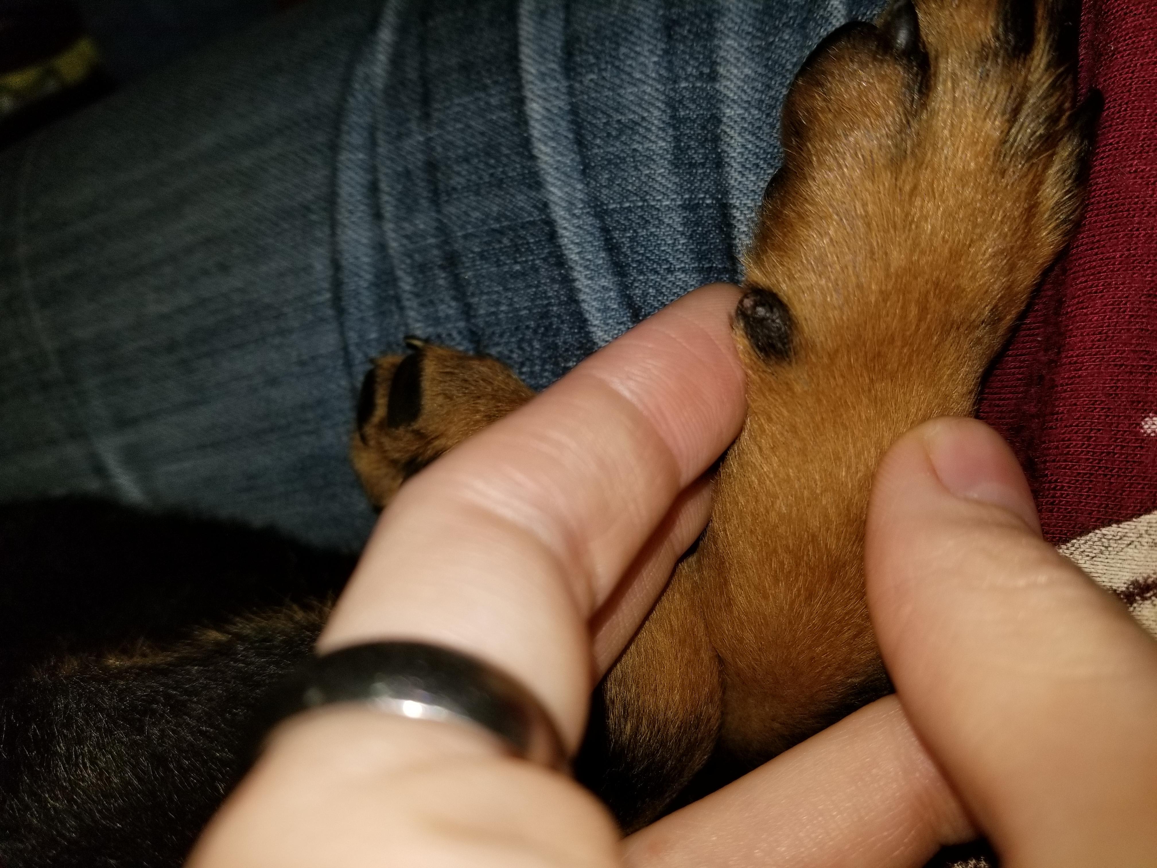 Question details sensitive content