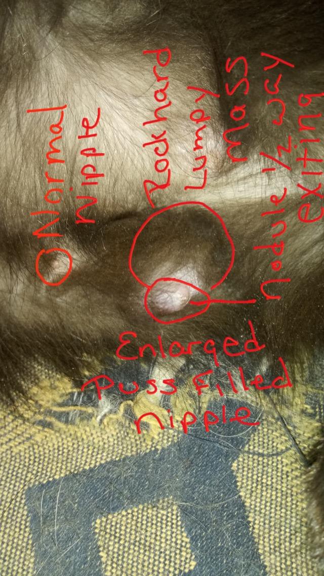 Question details sensitive content