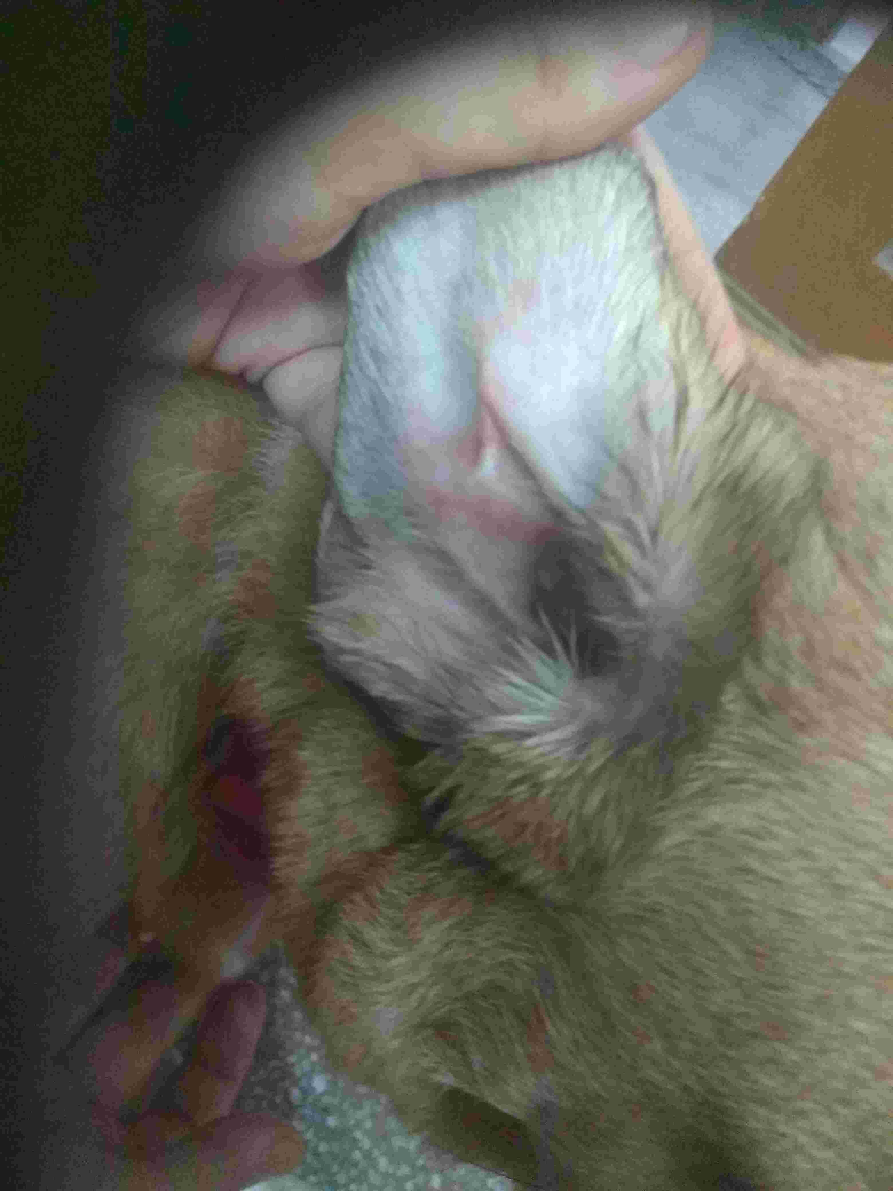 Question details sensitive content