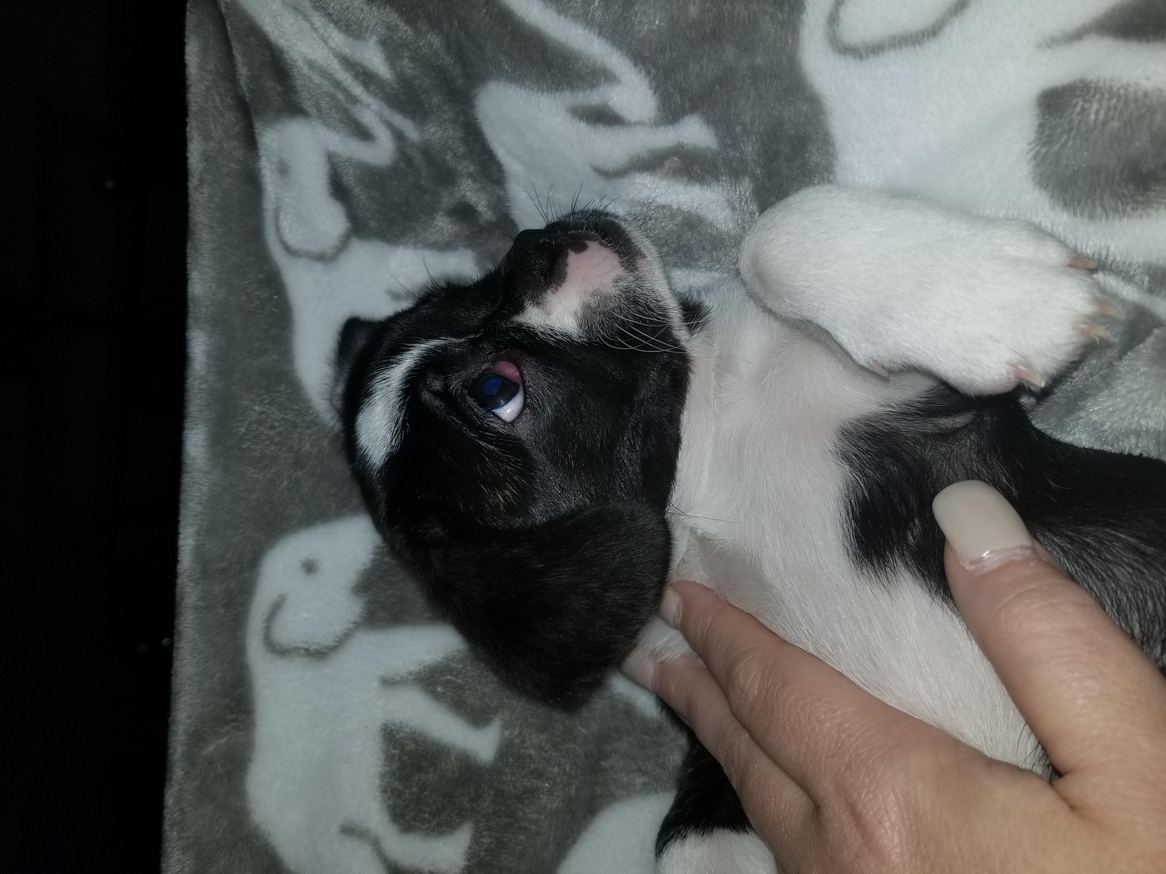 Question details sensitive content