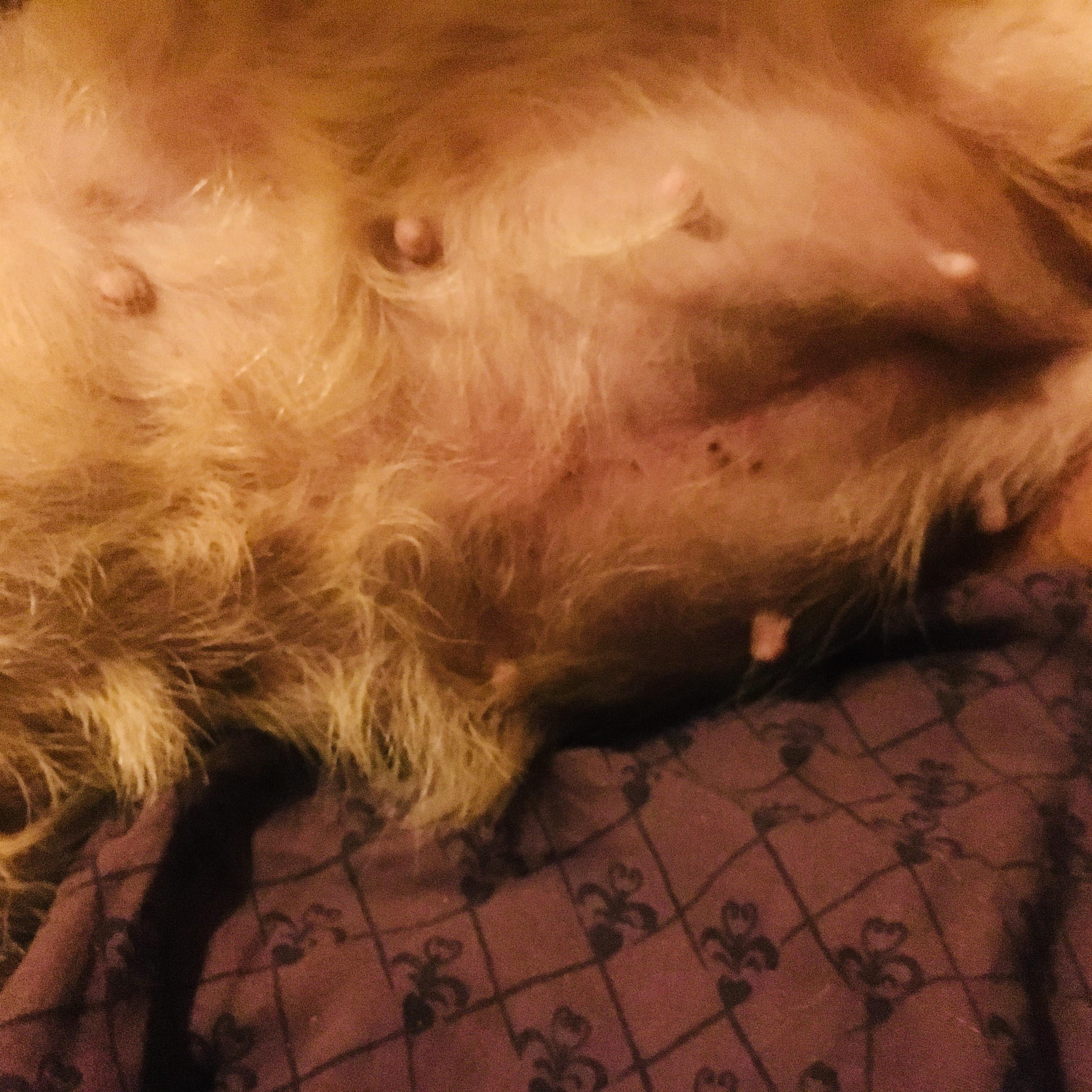 Question details sensitive content