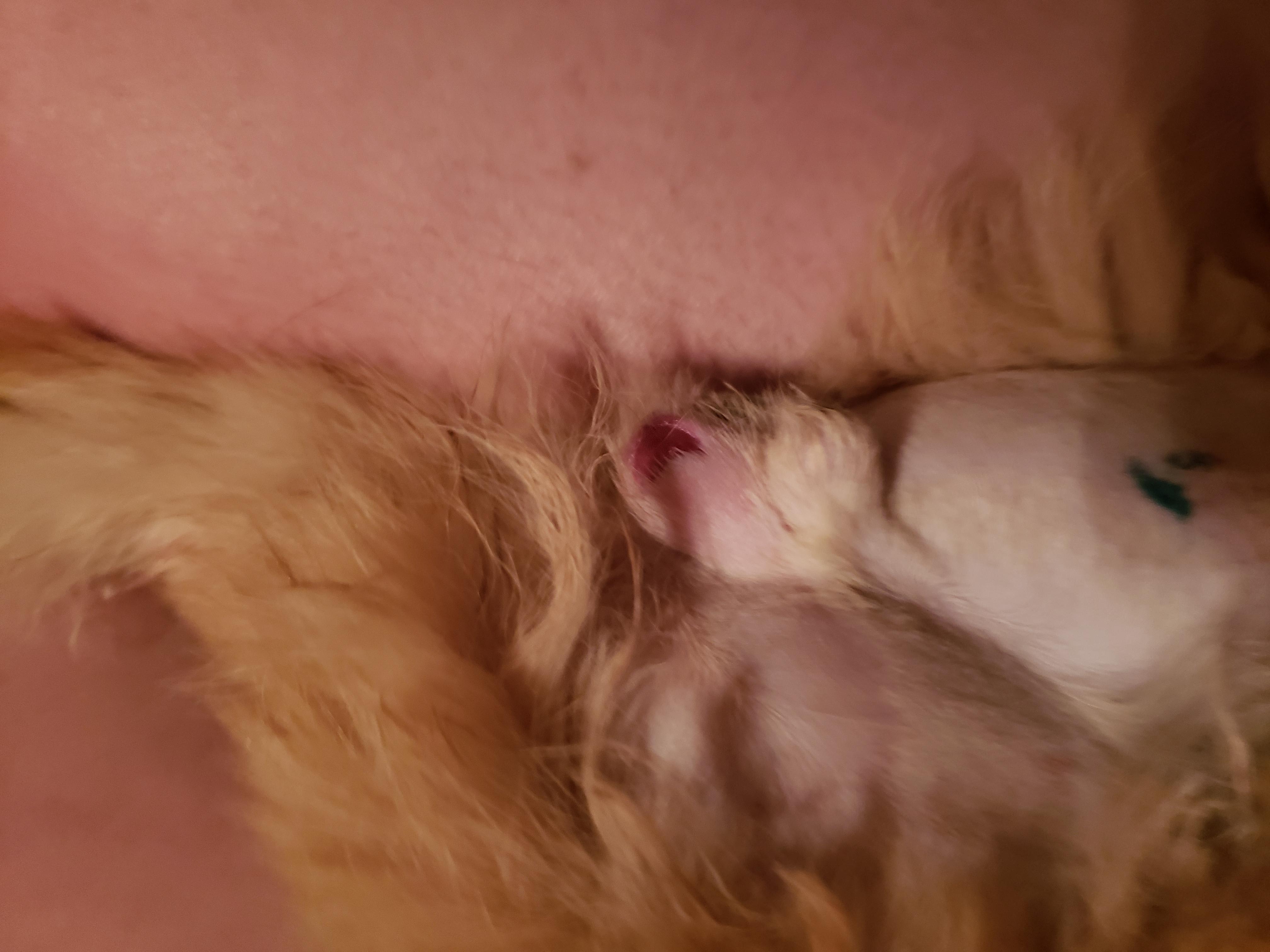 Question details sensitive content