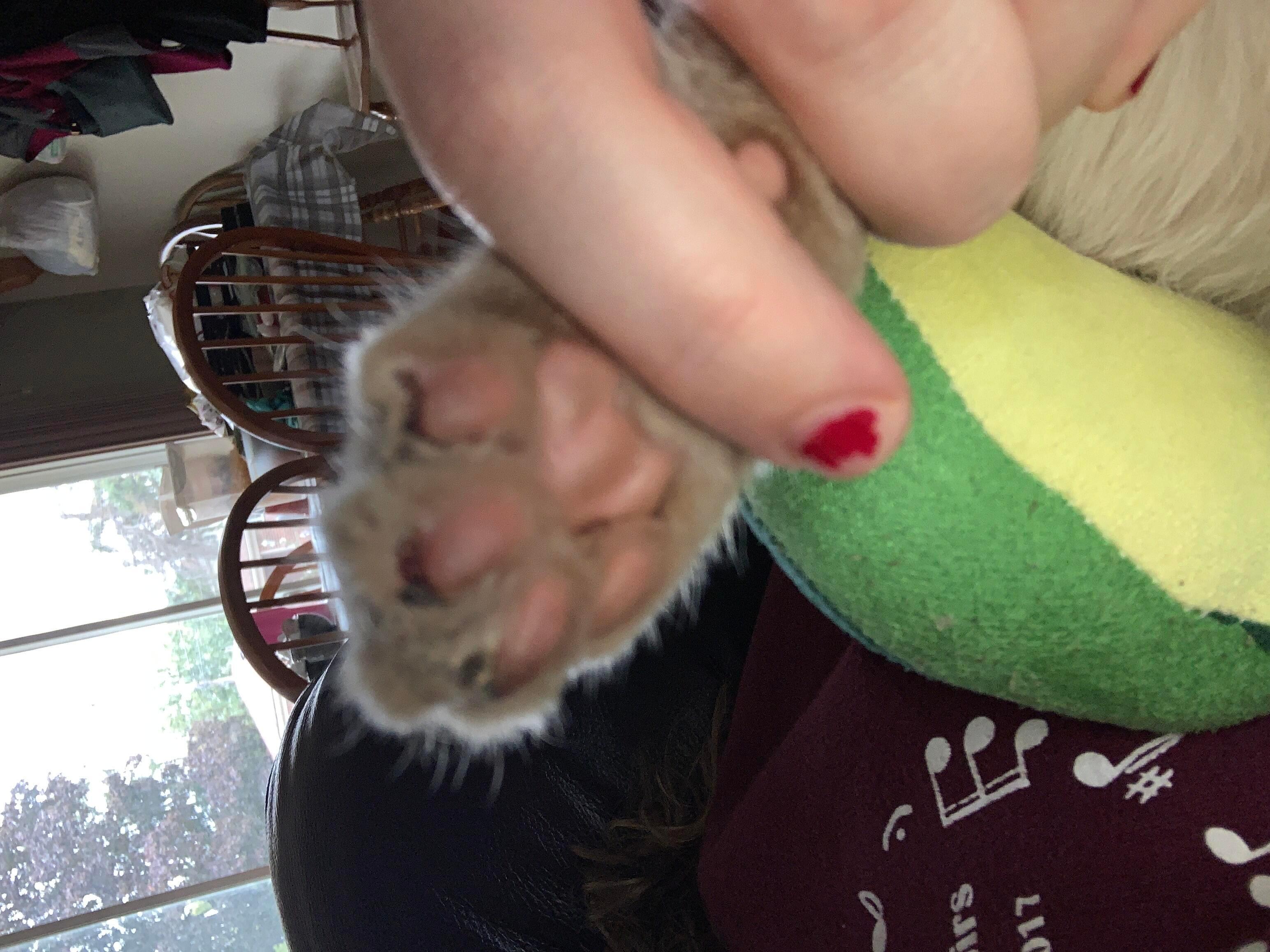 Question details sensitive content