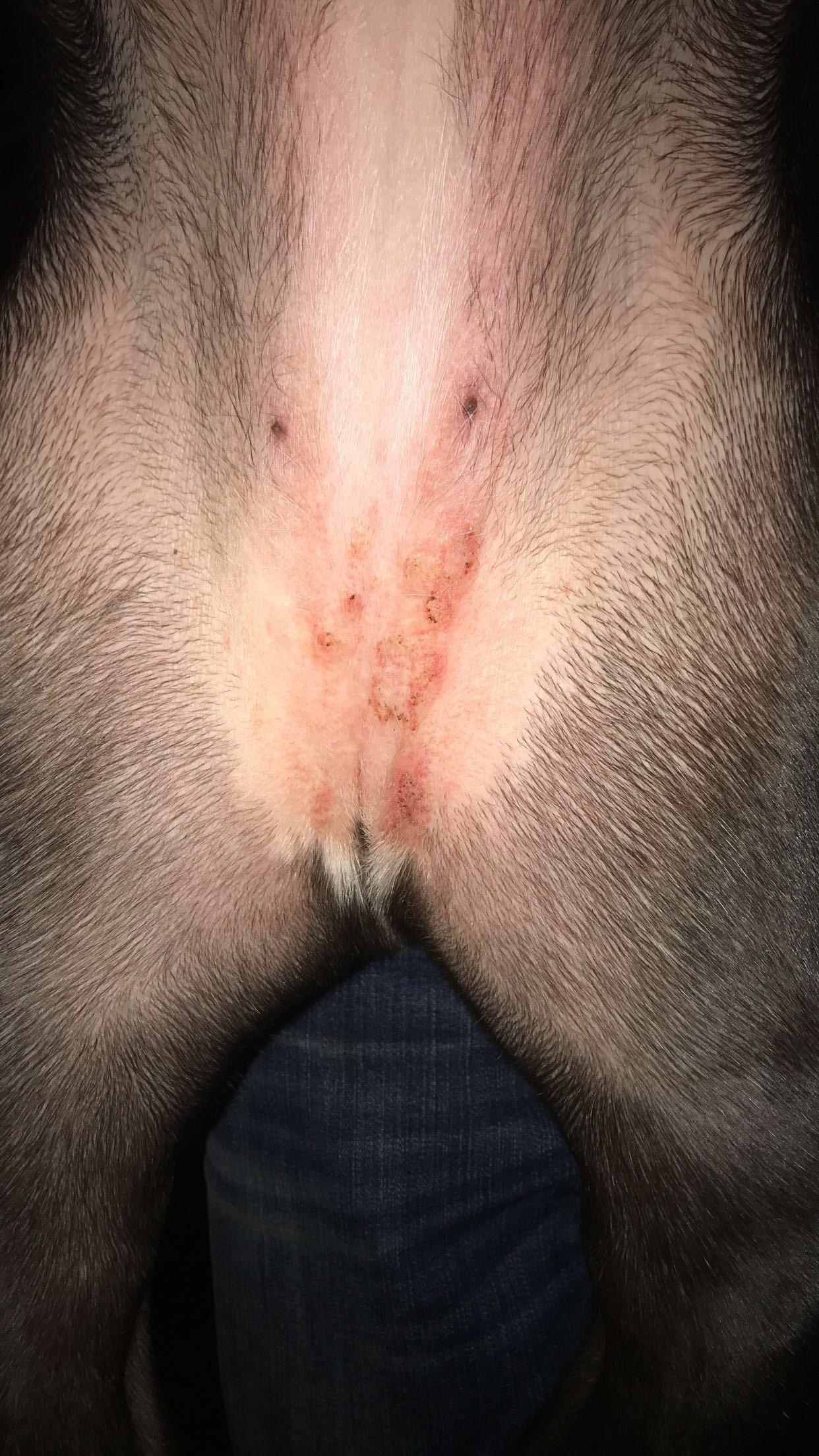 Question details sensitive content