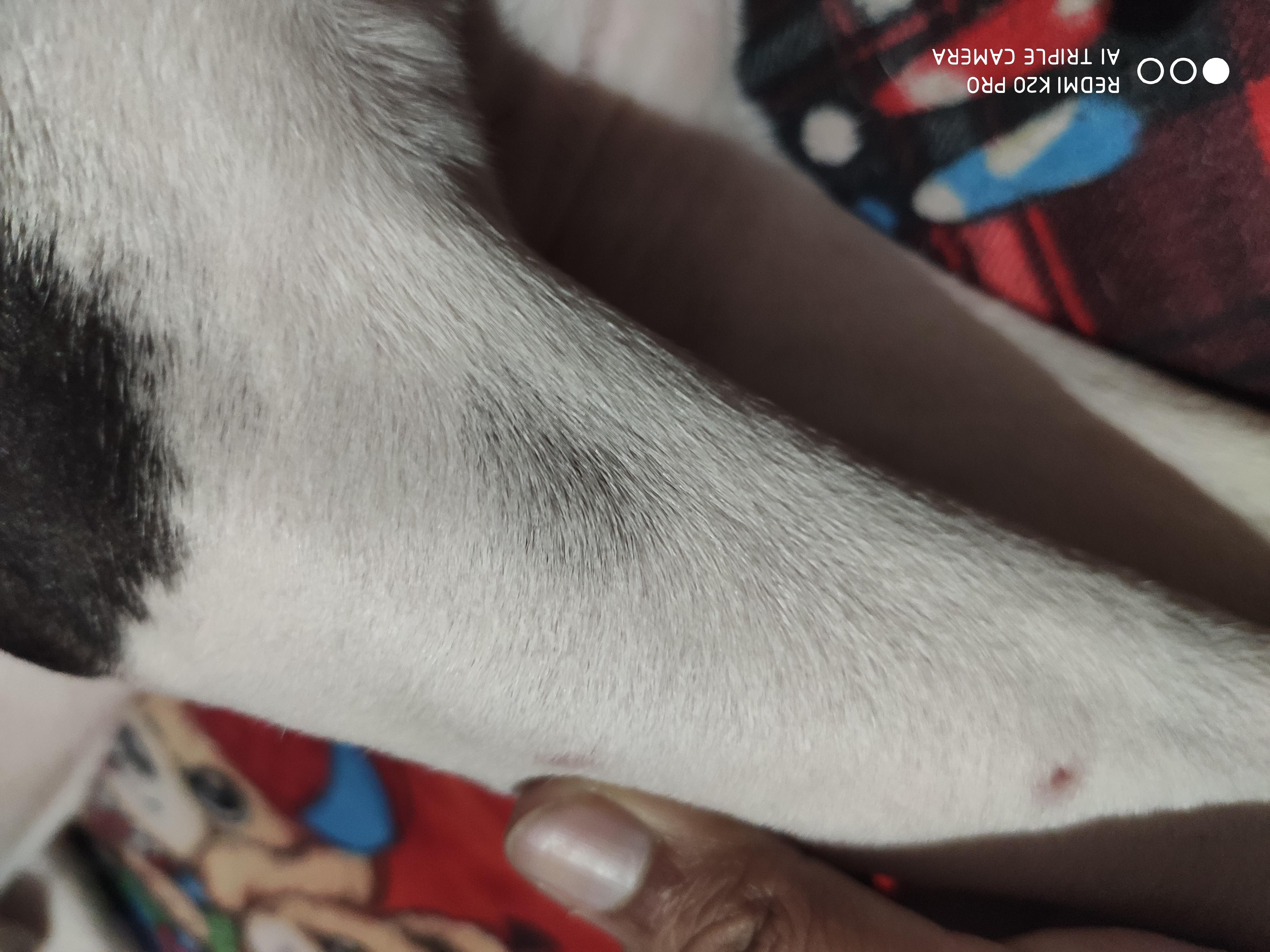 Question details sensitive content