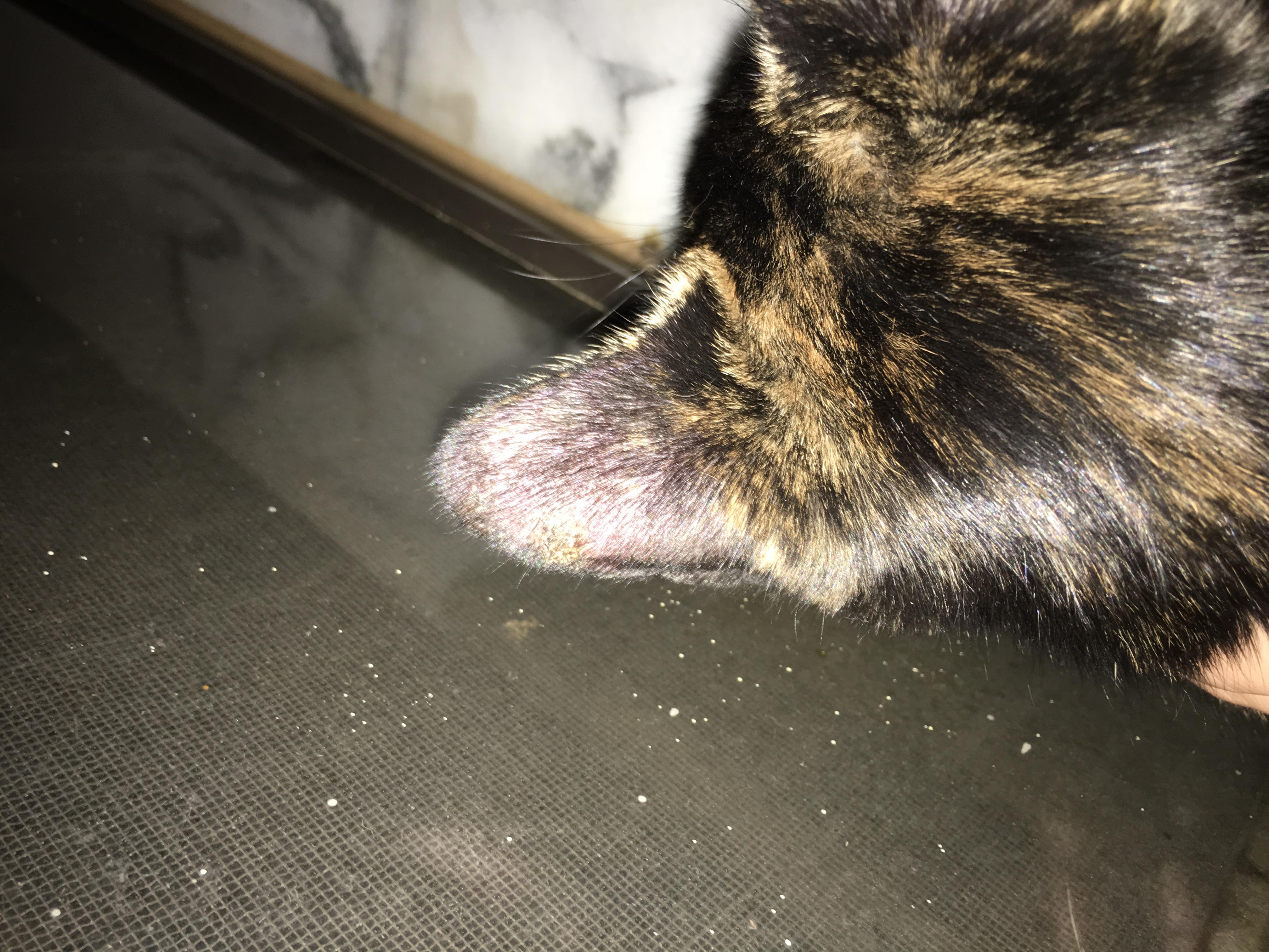 Question details sensitive content