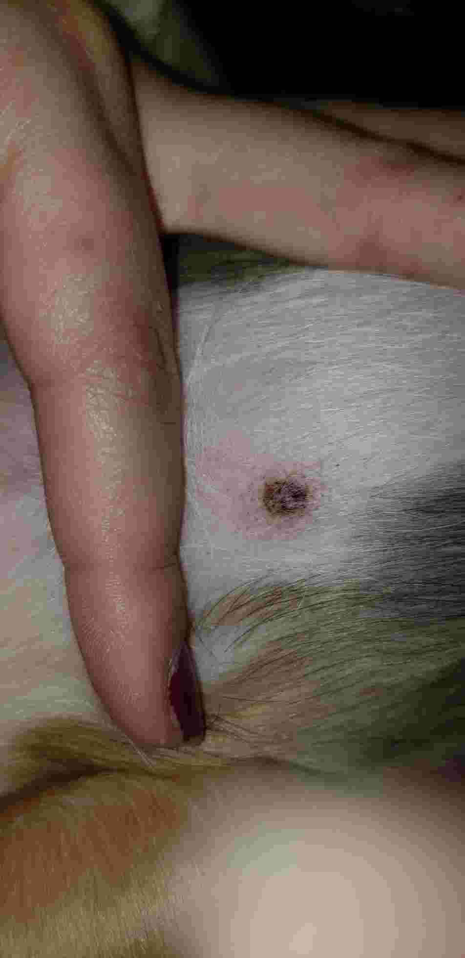 Question details sensitive content