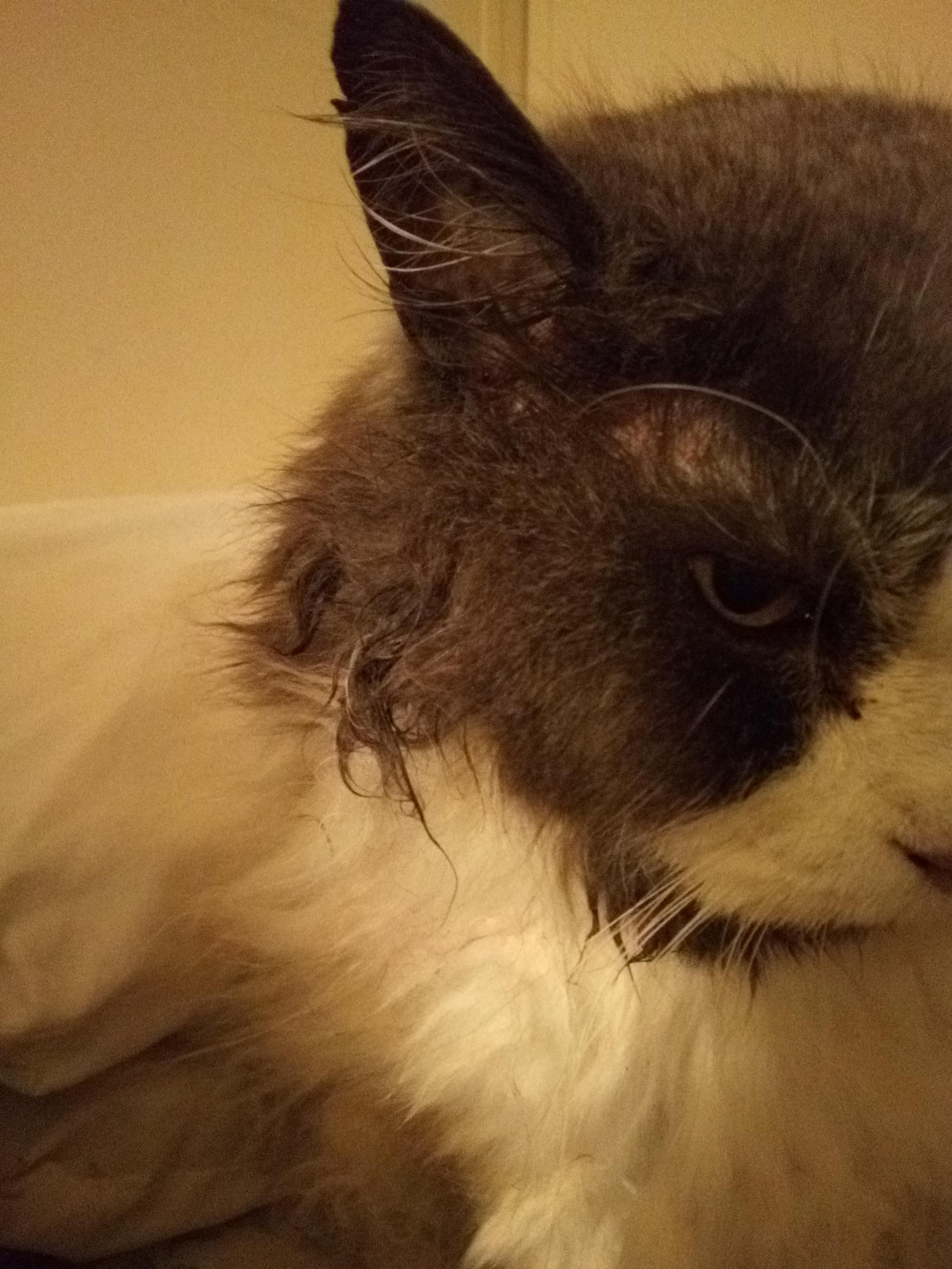 Question details sensitive content