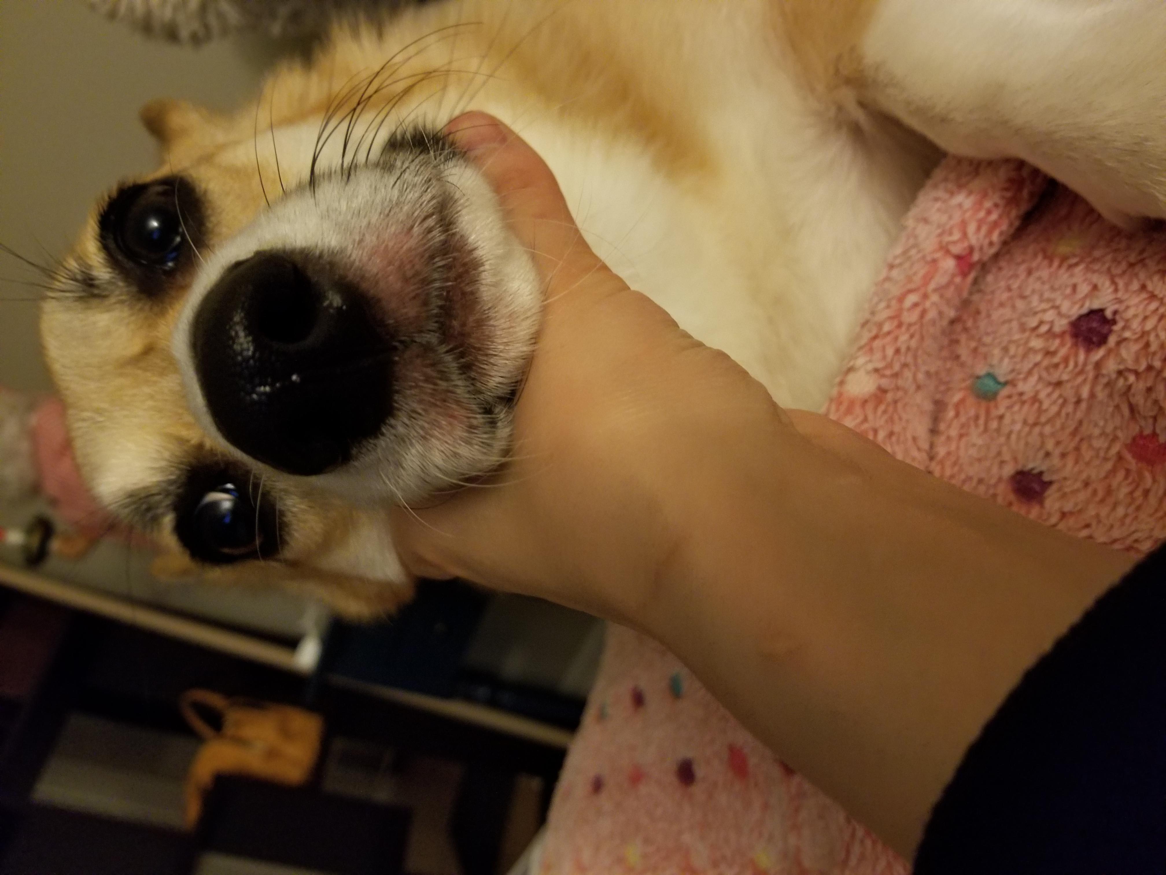 Question details sensitive content