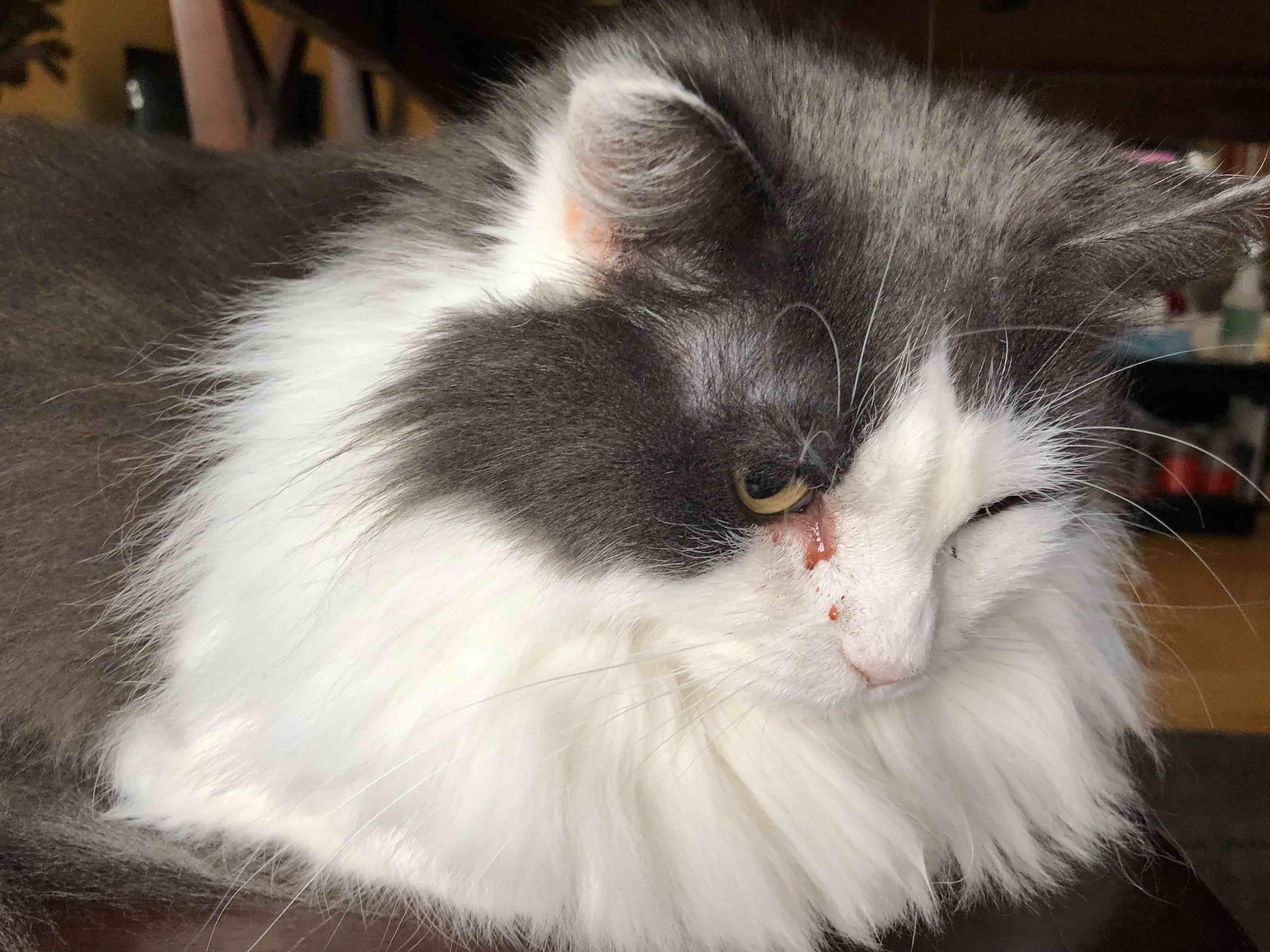 Question details sensitive content