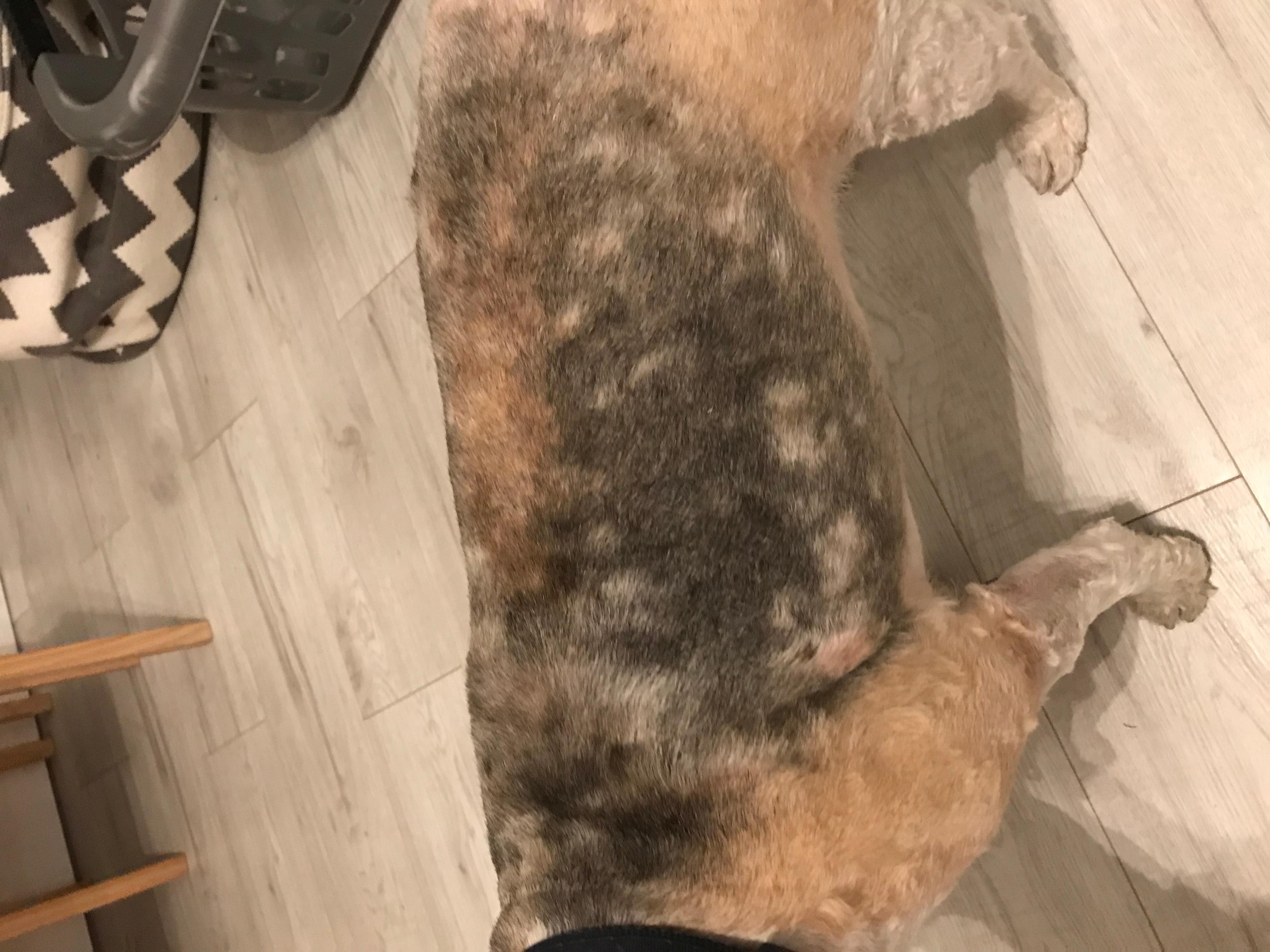 Question details sensitive content