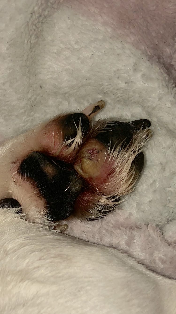 Question details sensitive content