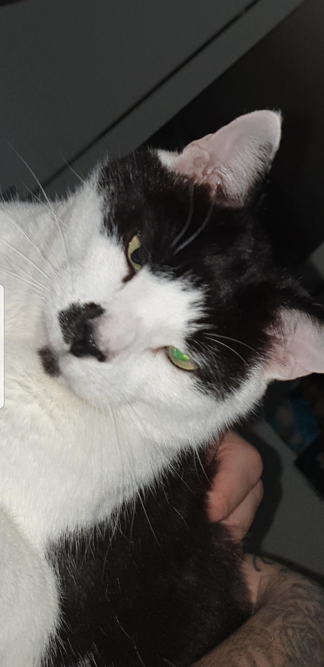 Question details sensitive content