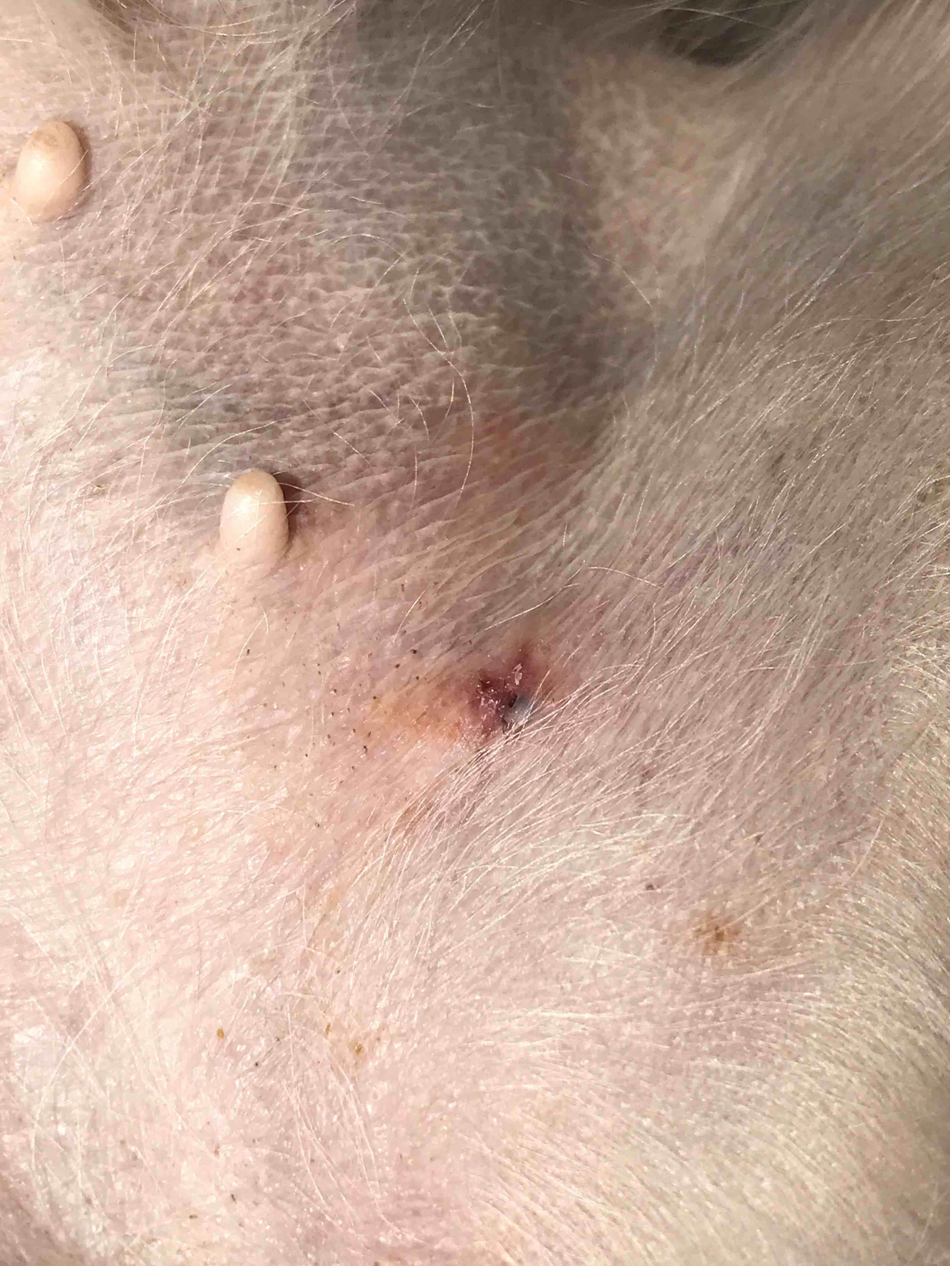 Question details sensitive content