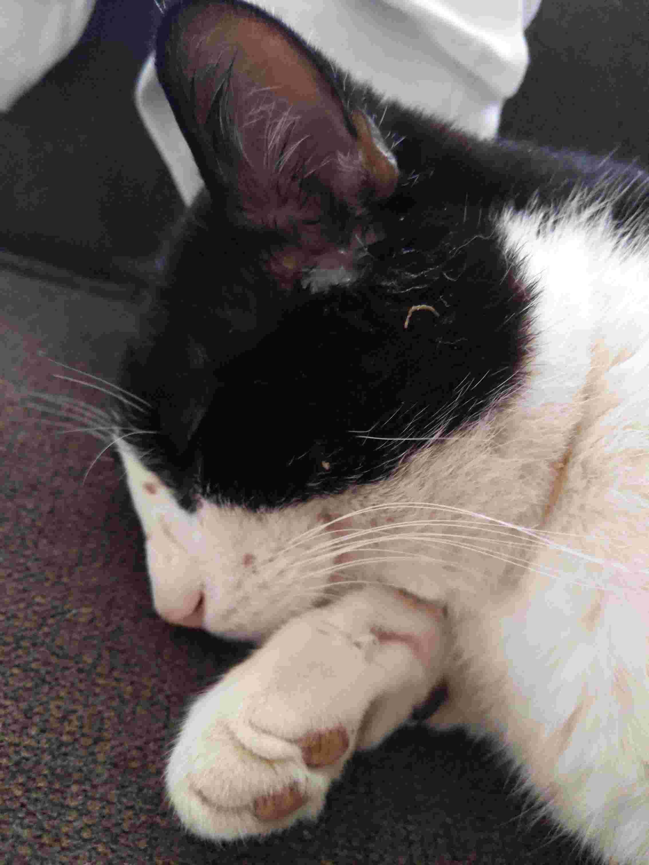 Question details sensitive content