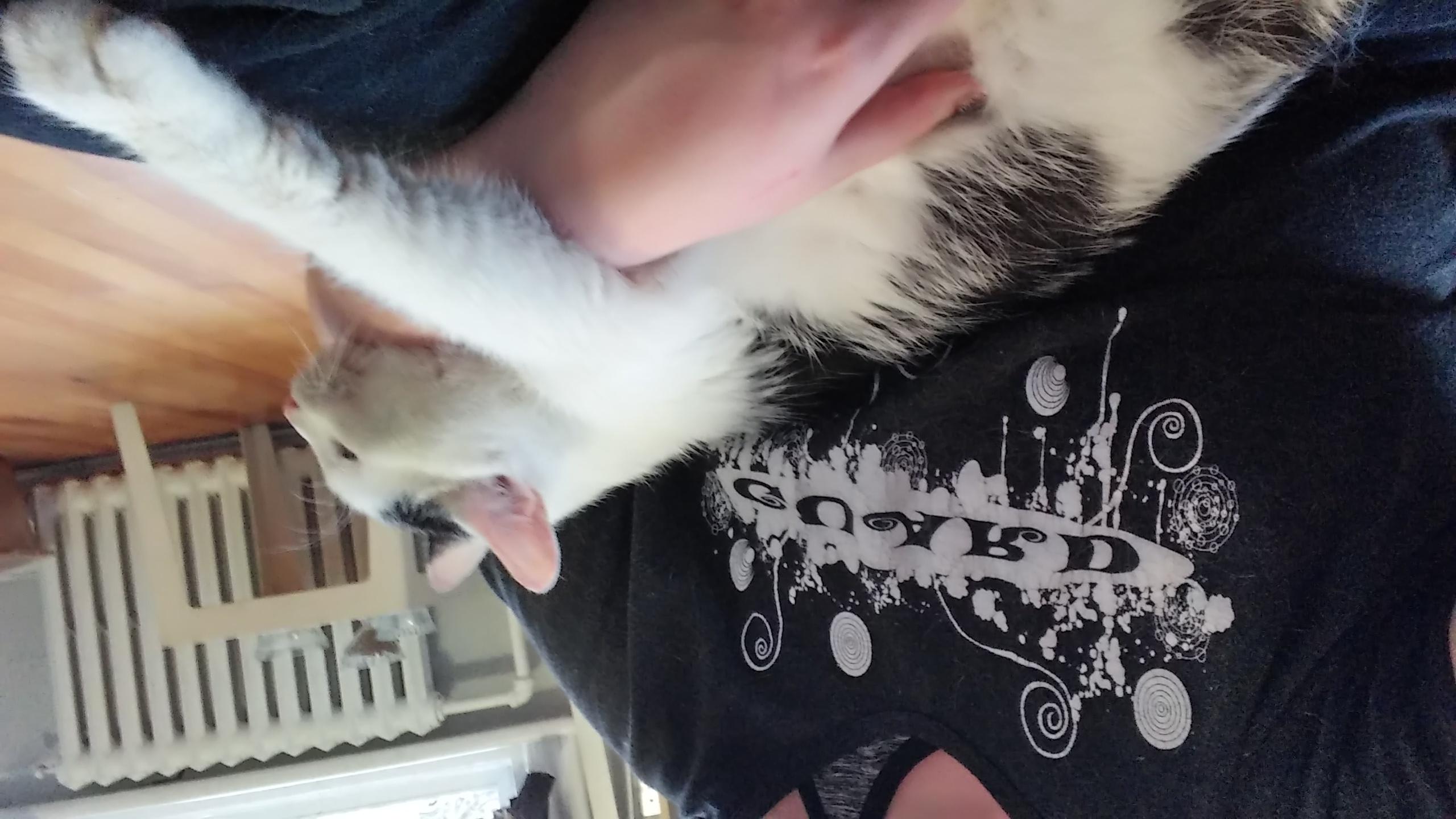 Question details sensitive content