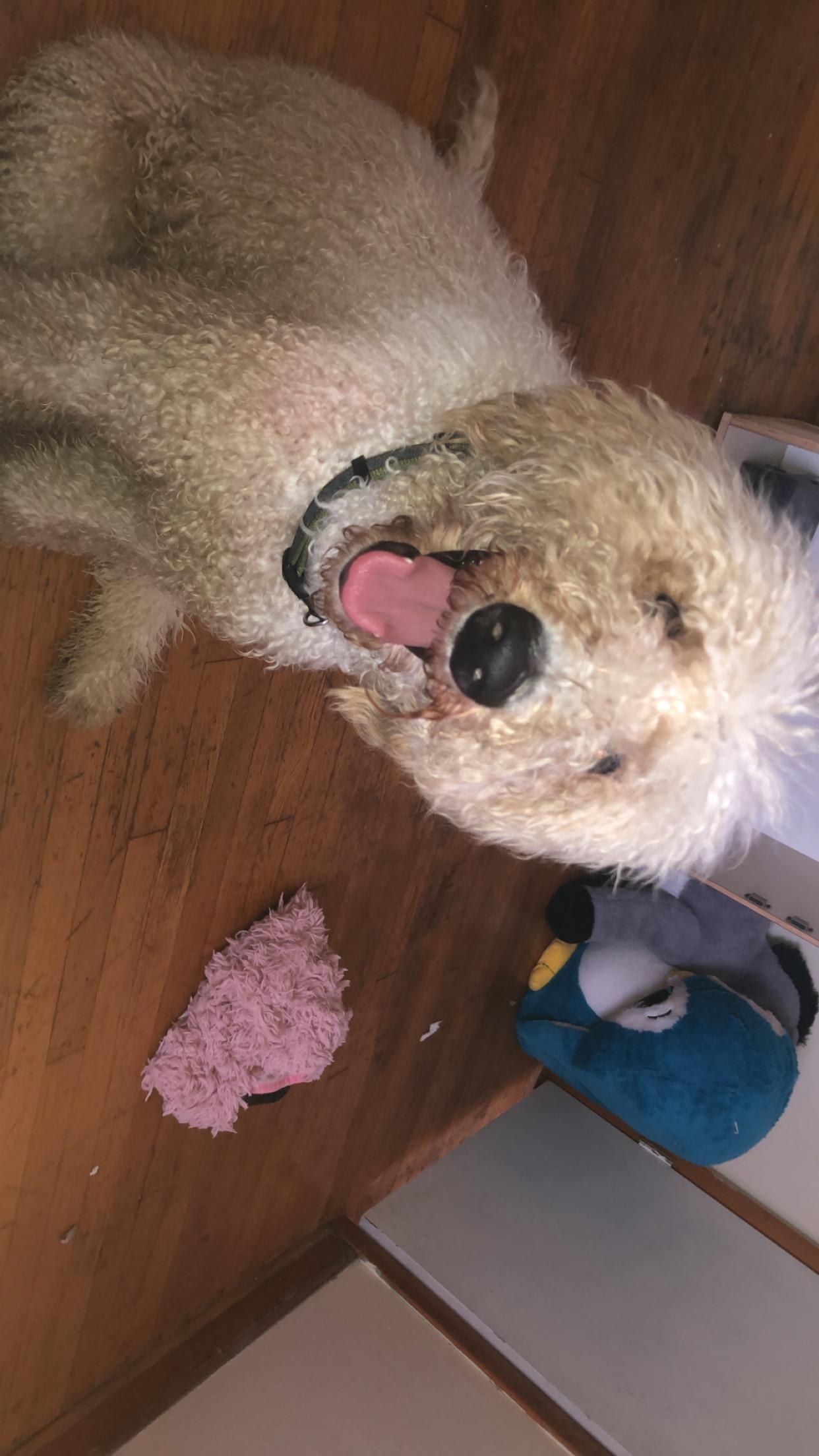 Question details sensitive content