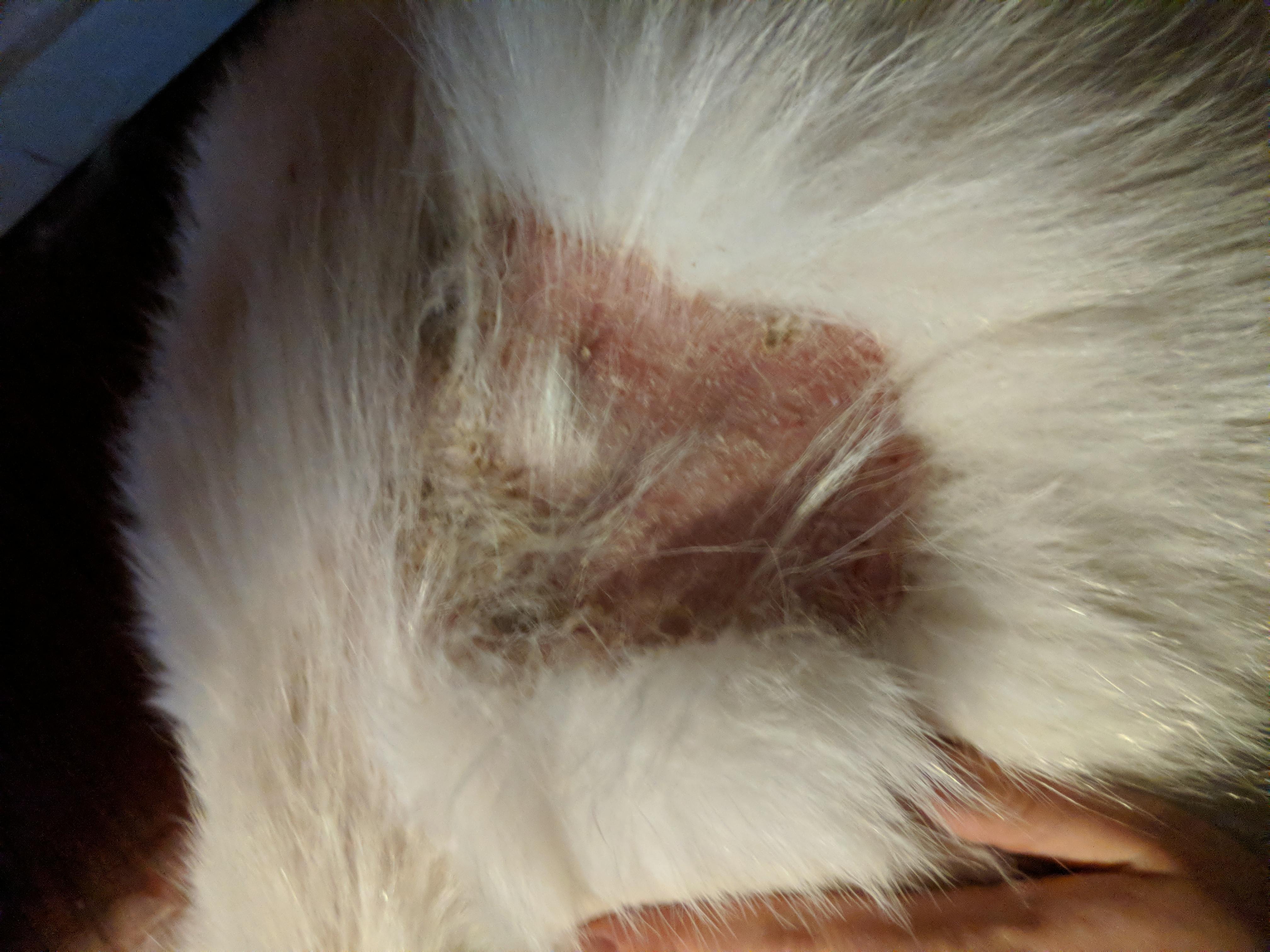 Question details sensitive content