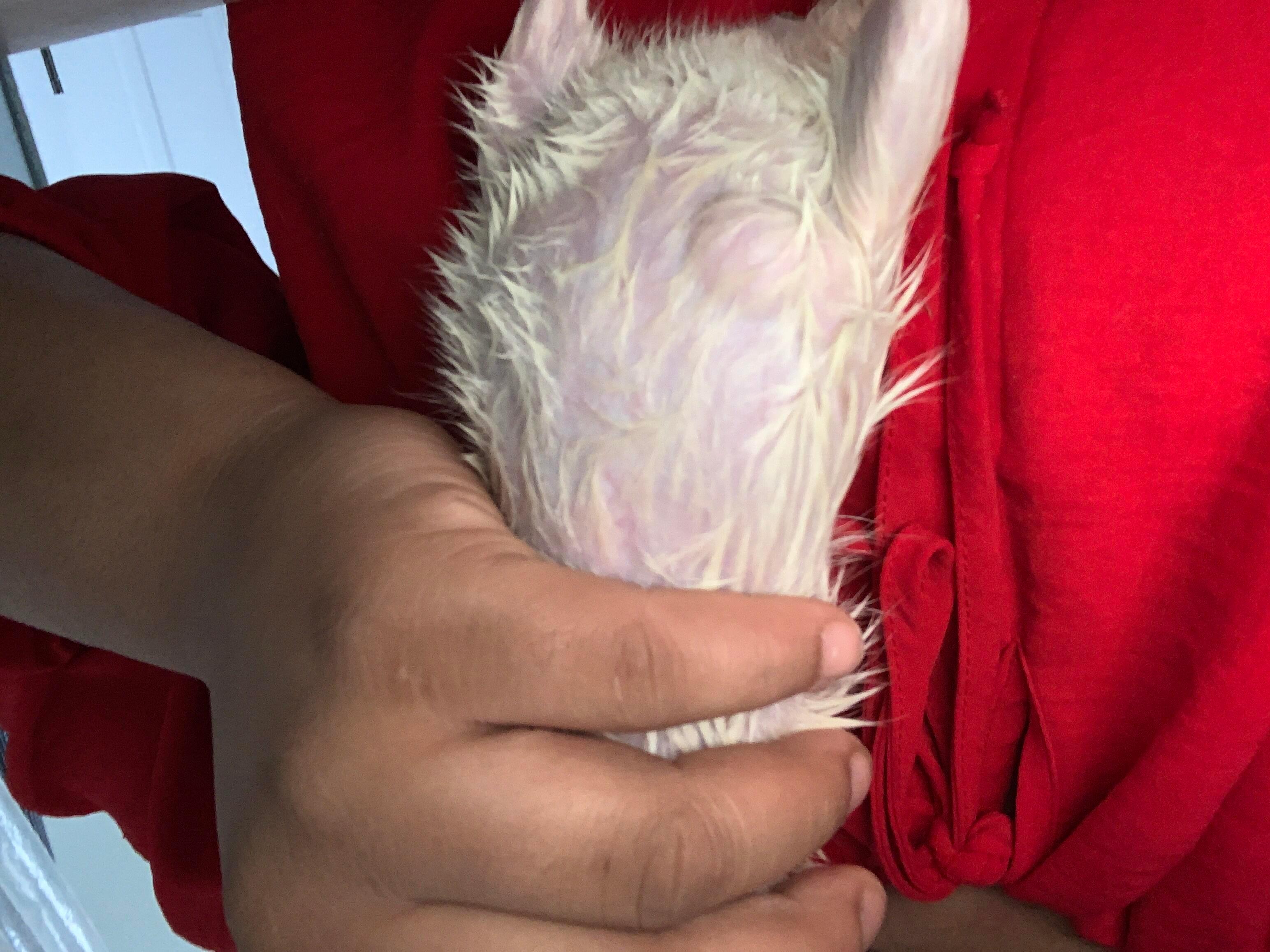 Question details sensitive content